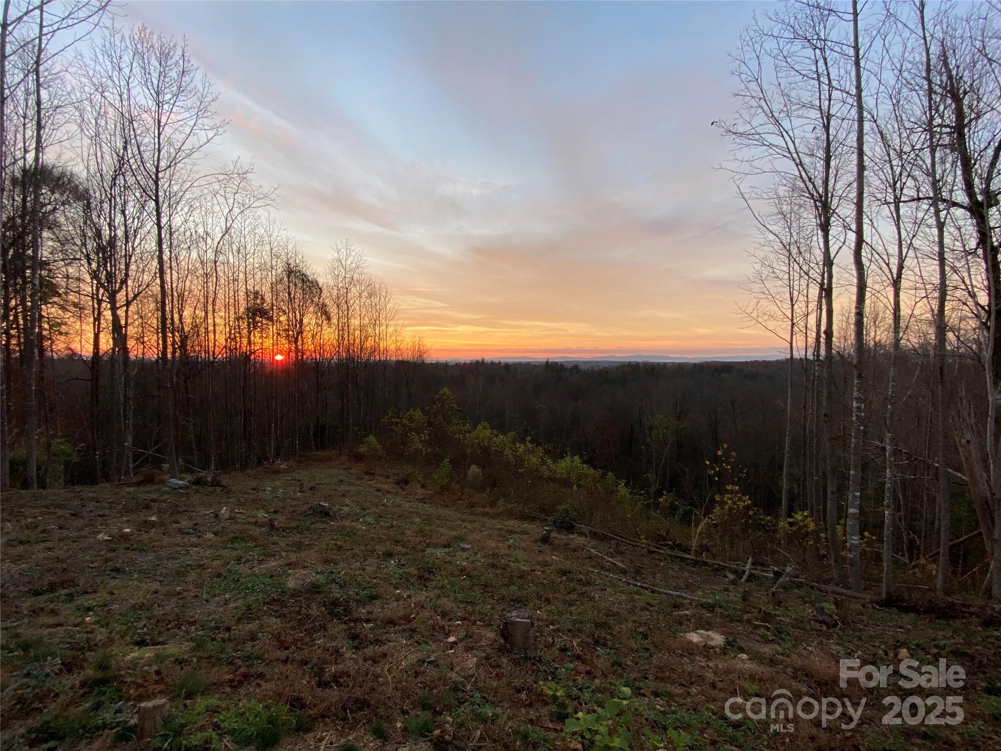 1030 River Club Ridge Property Photo 6