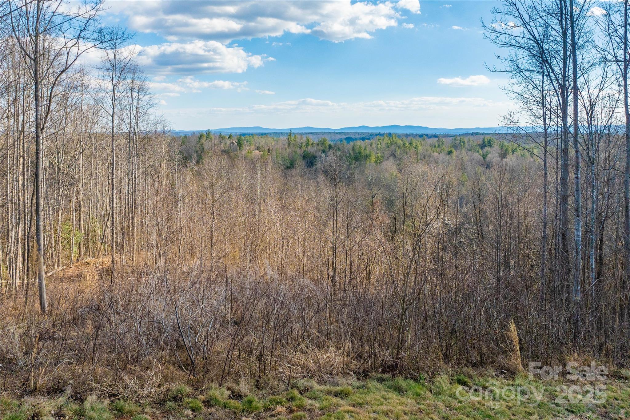 1030 River Club Ridge Property Photo 8