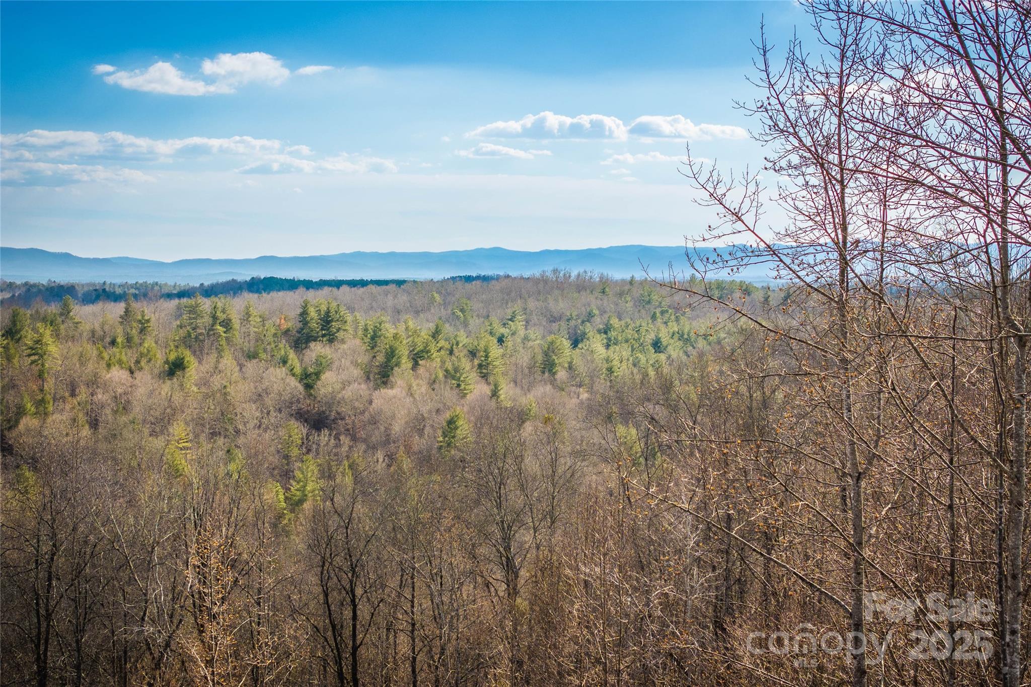1030 River Club Ridge Property Photo 37