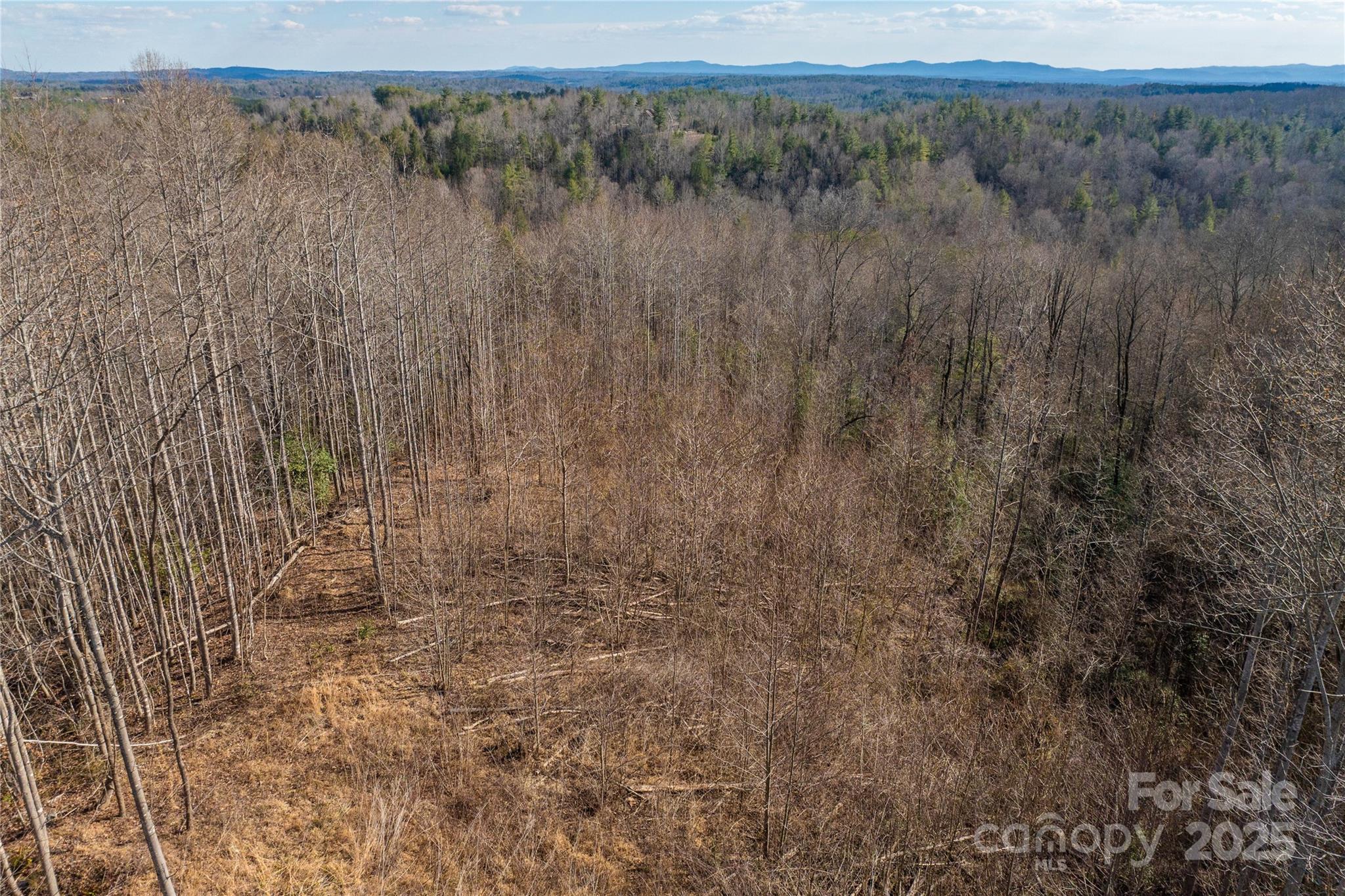 1030 River Club Ridge Property Photo 40