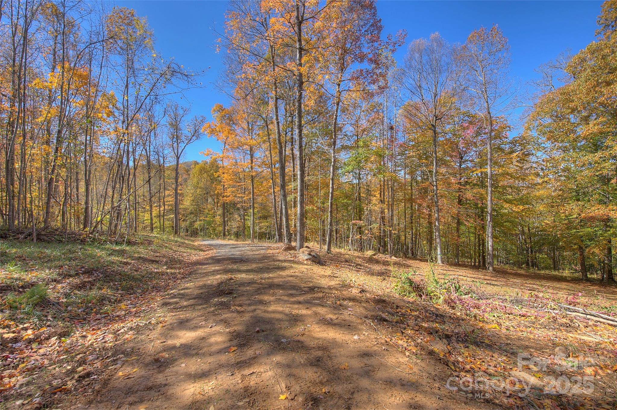 0 Pebble Ridge Road Property Photo 3