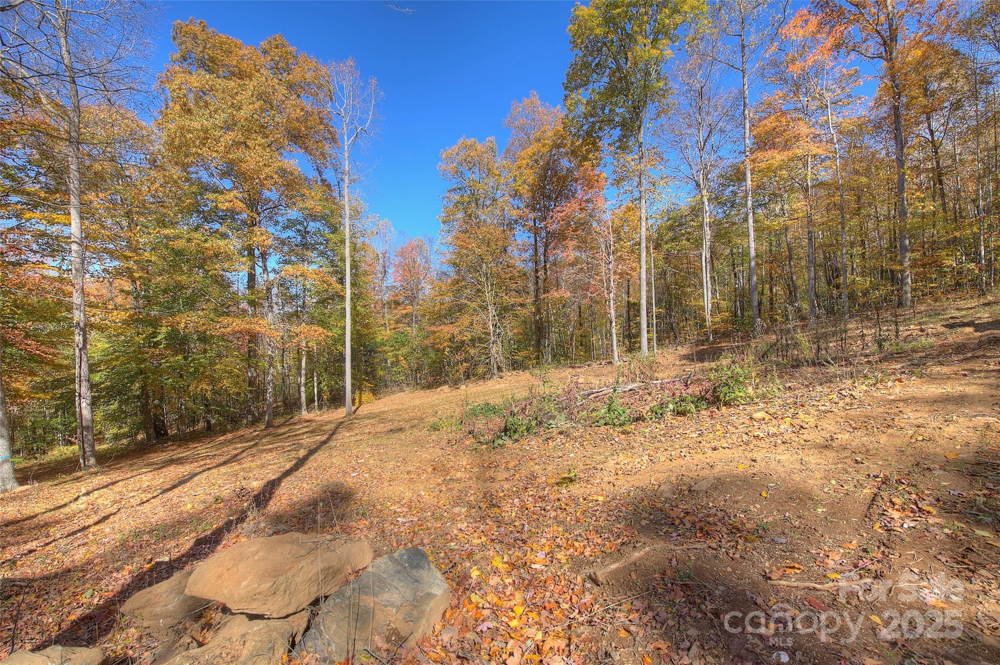 0 Pebble Ridge Road Property Photo 4