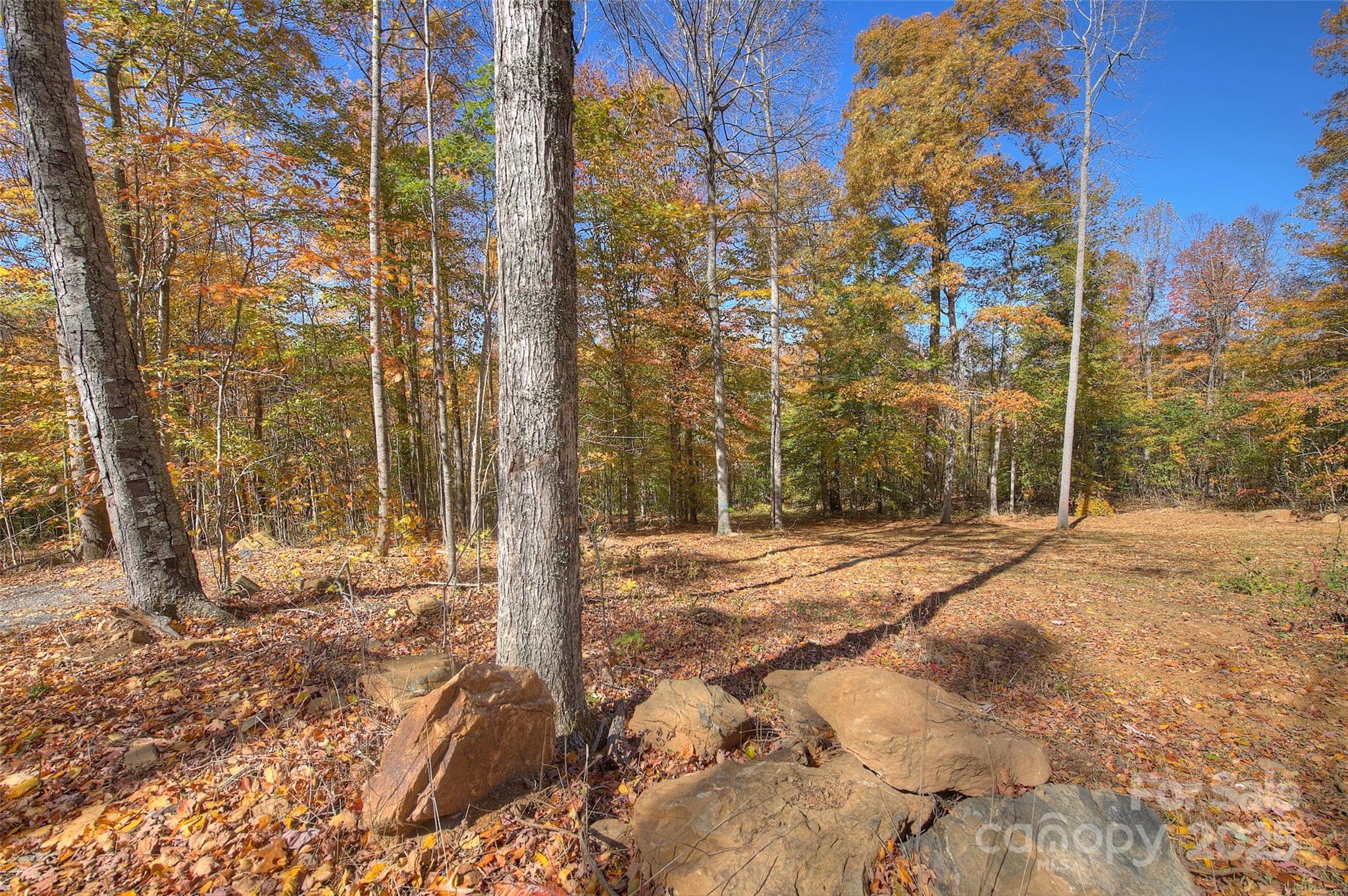 0 Pebble Ridge Road Property Photo 5