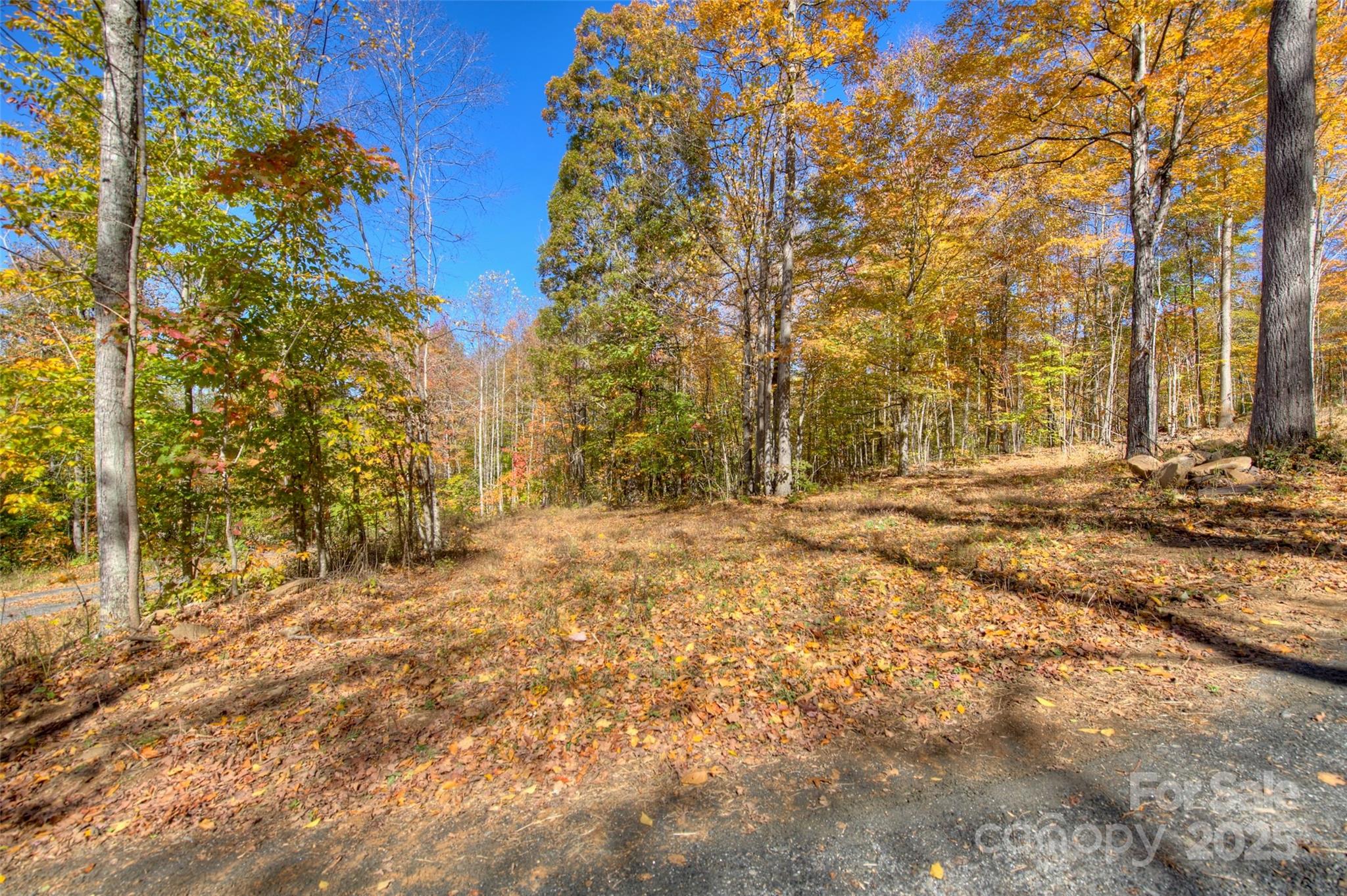 0 Pebble Ridge Road Property Photo 9