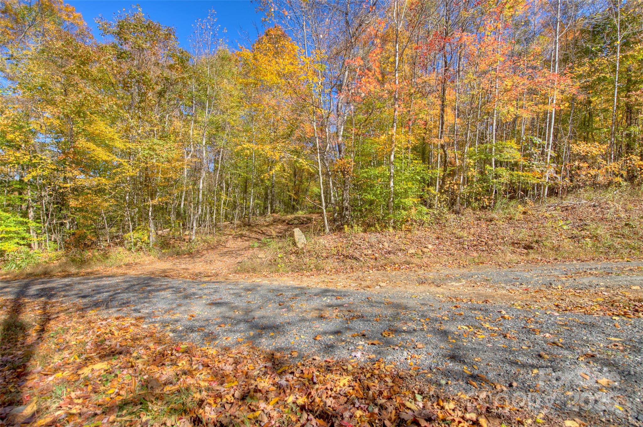 0 Pebble Ridge Road Property Photo 11