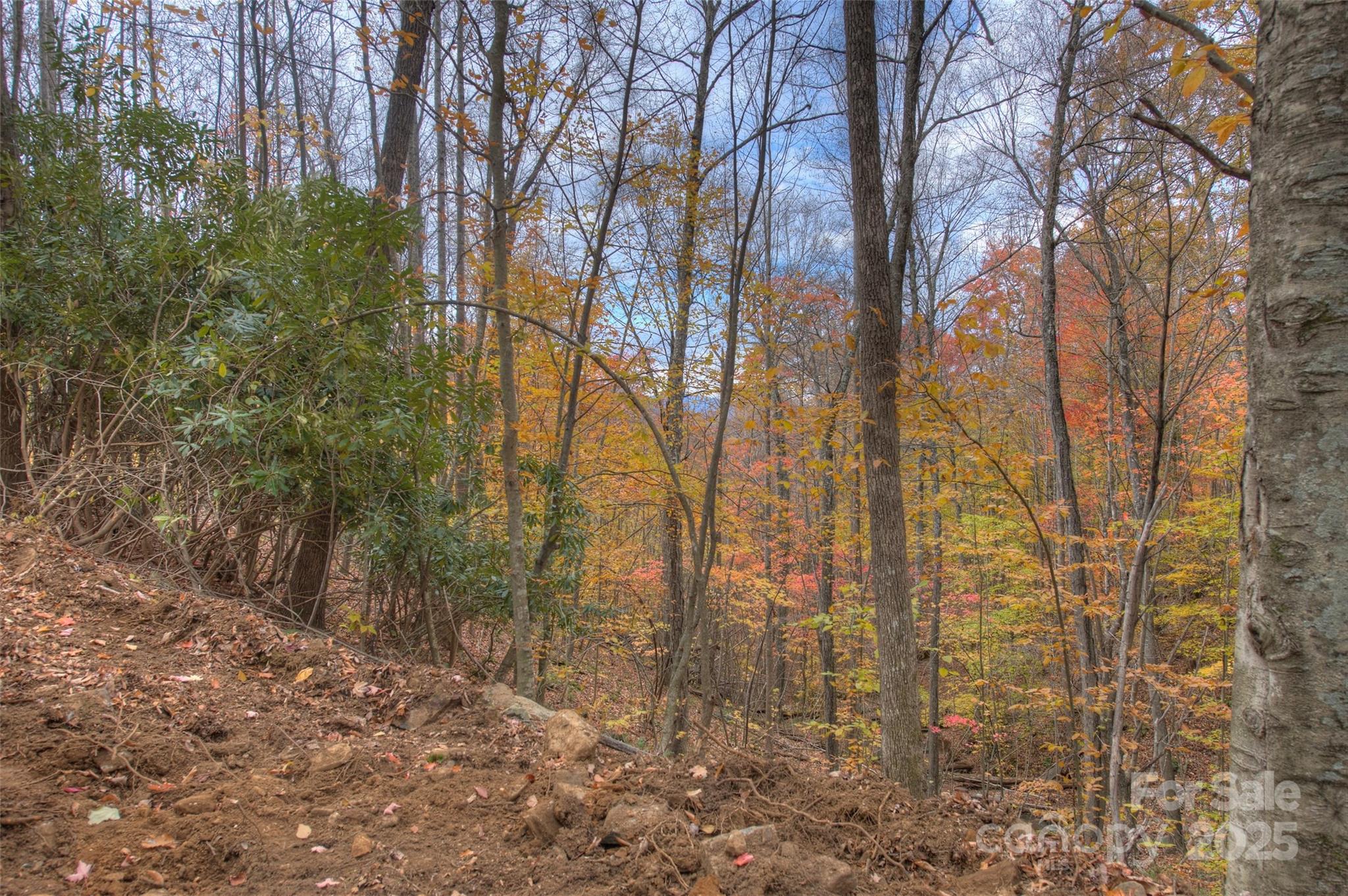 0 Pebble Ridge Road Property Photo 17