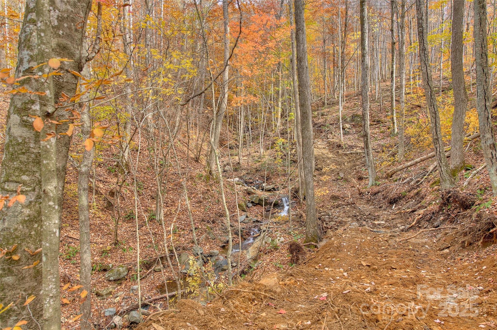 0 Pebble Ridge Road Property Photo 18