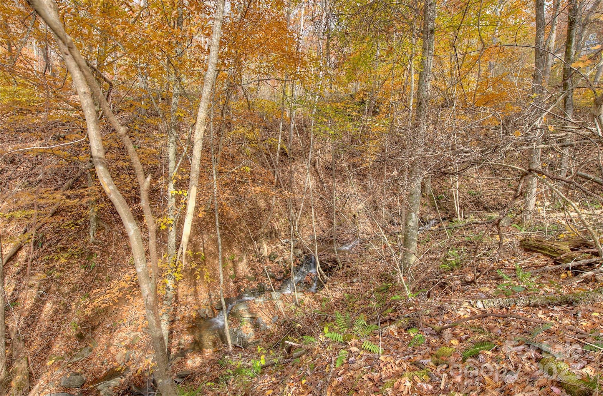 0 Pebble Ridge Road Property Photo 21