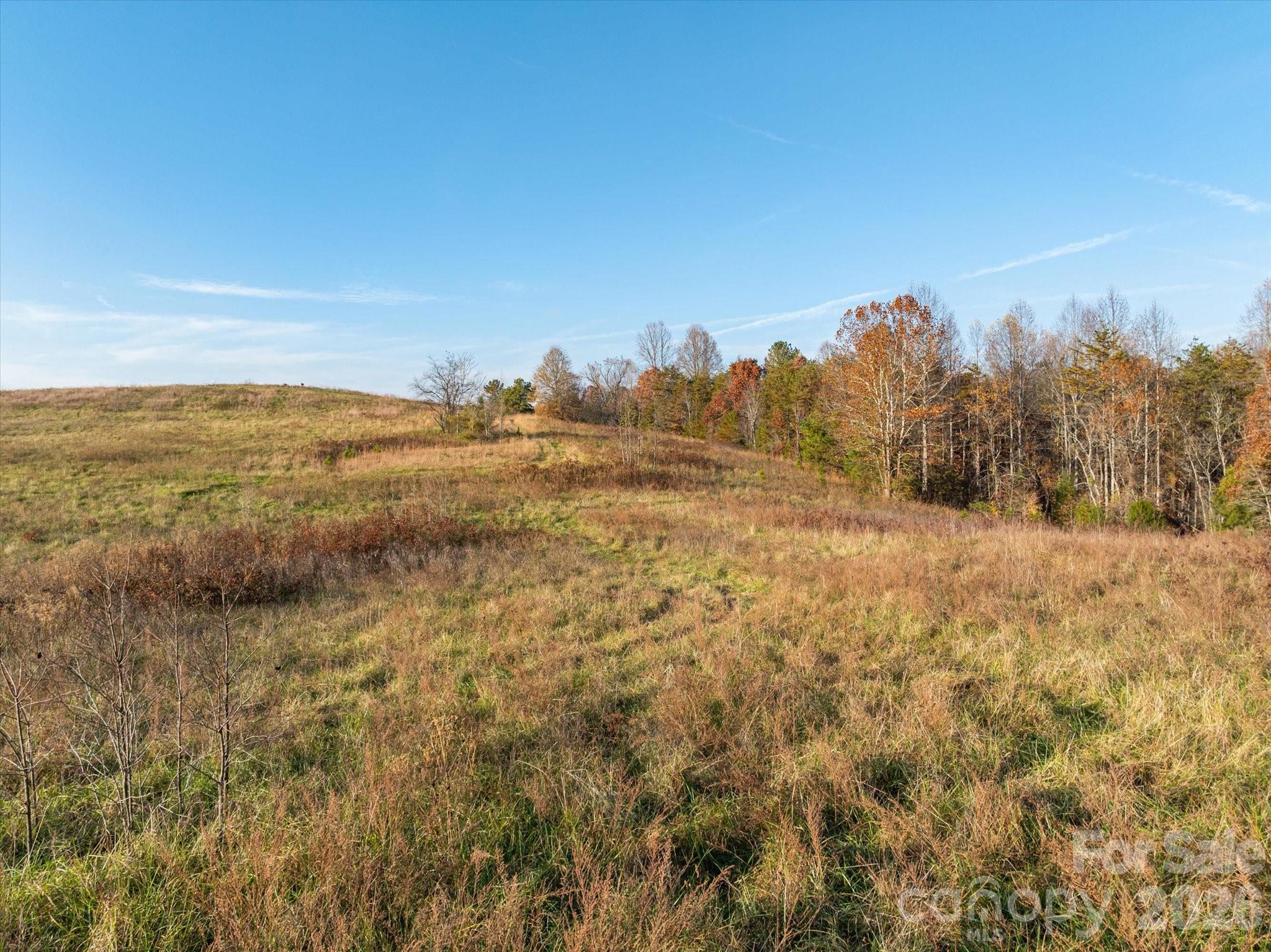 1888 Pea Ridge Road Property Photo 6