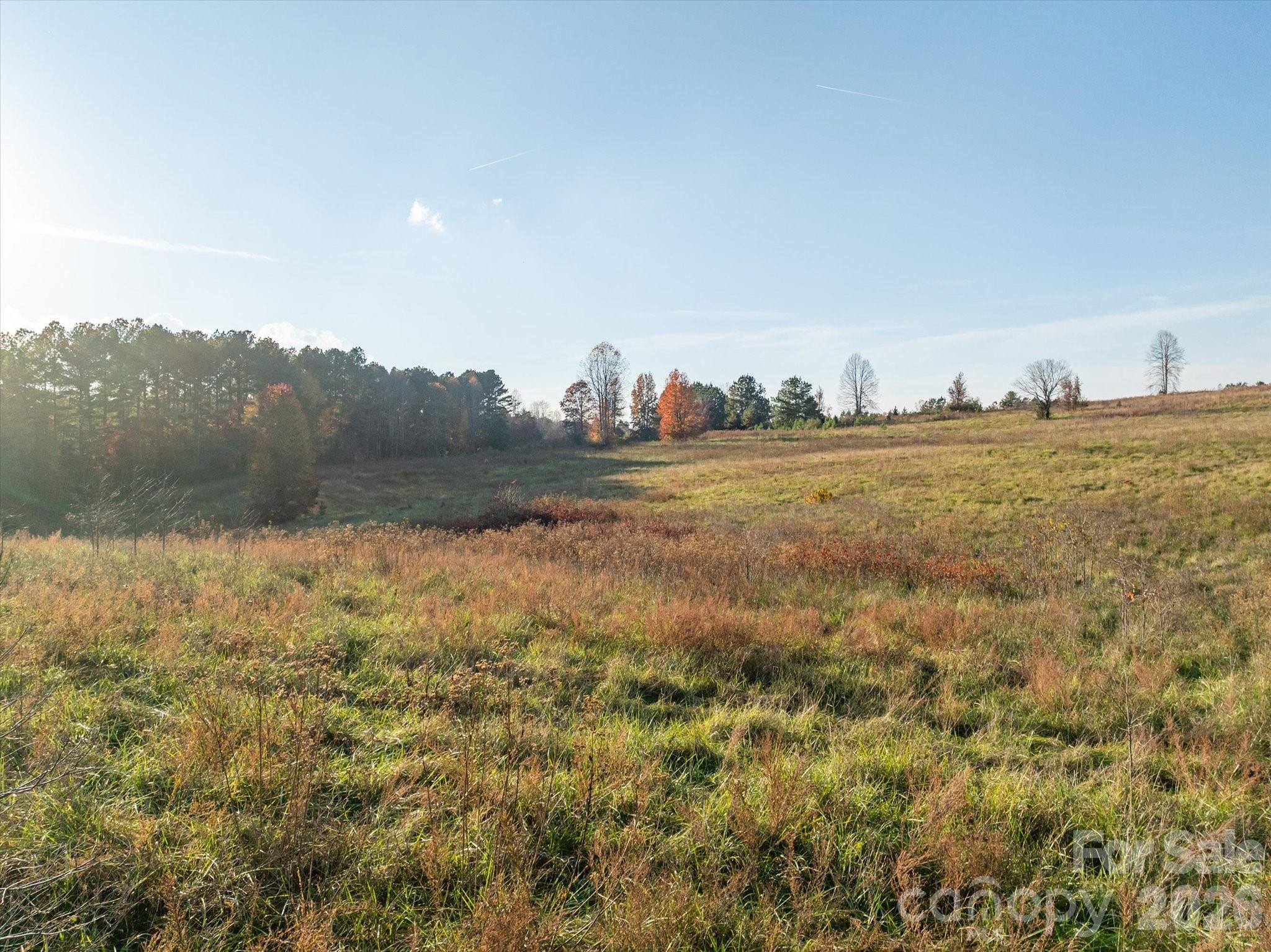 1888 Pea Ridge Road Property Photo 7