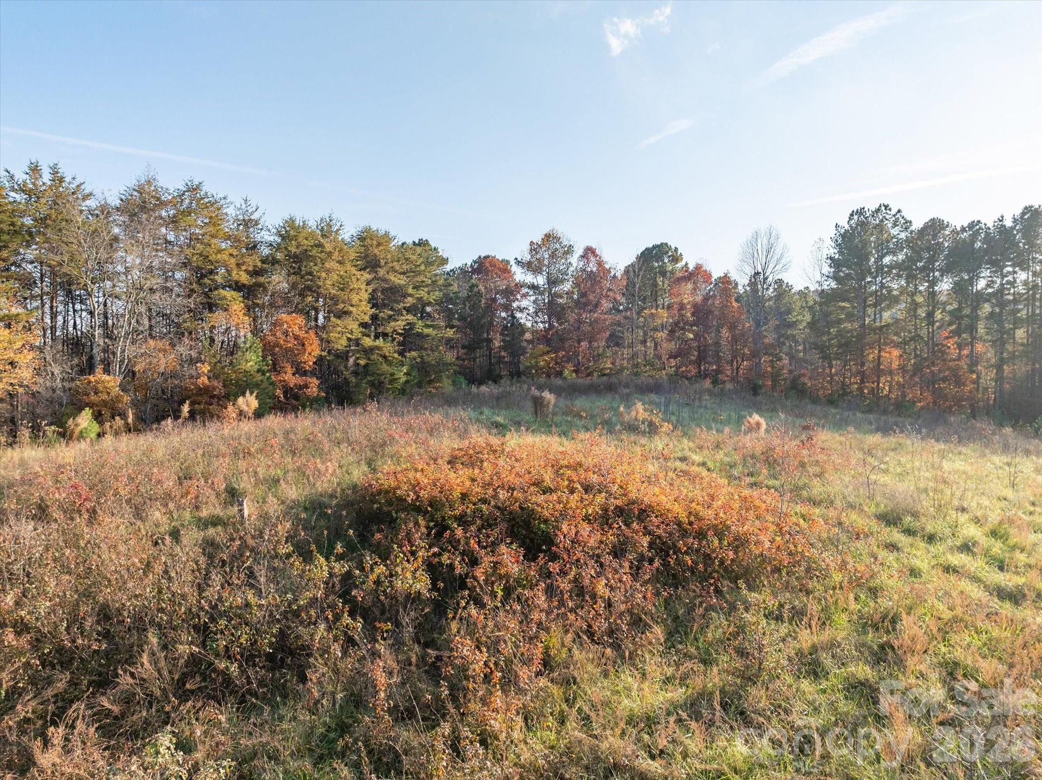 1888 Pea Ridge Road Property Photo 8