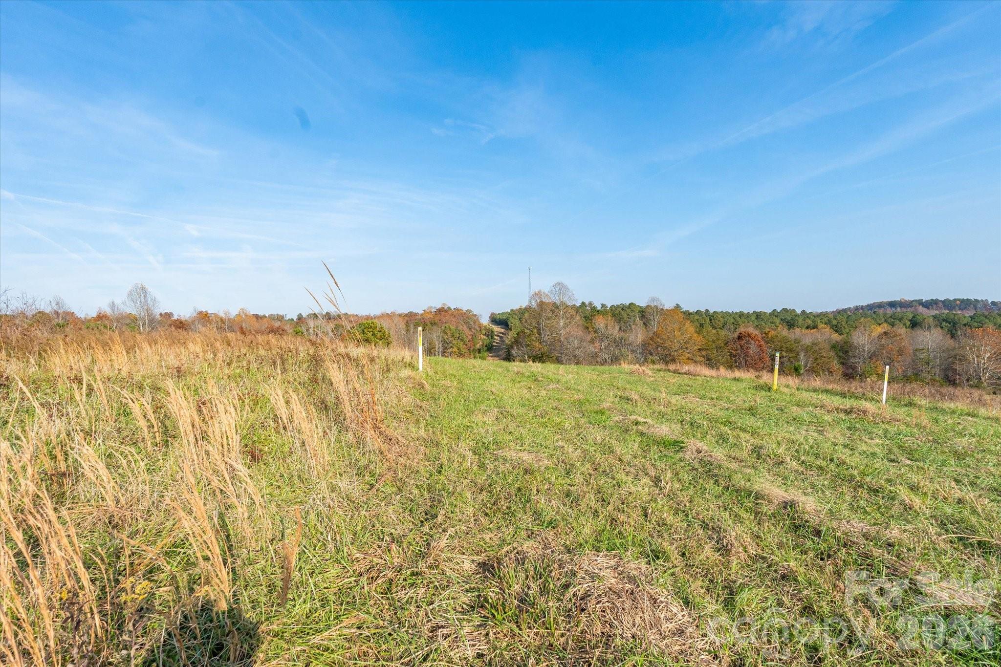 1888 Pea Ridge Road Property Photo 9
