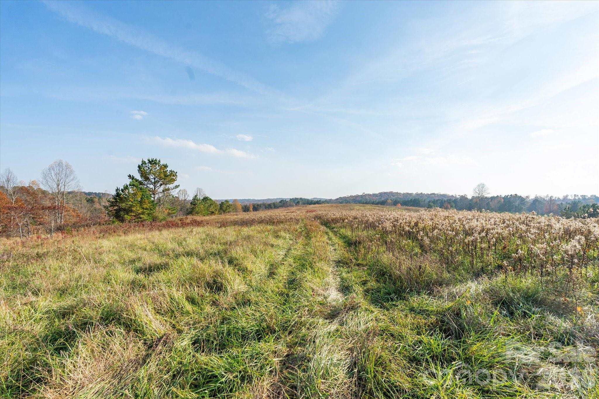1888 Pea Ridge Road Property Photo 10