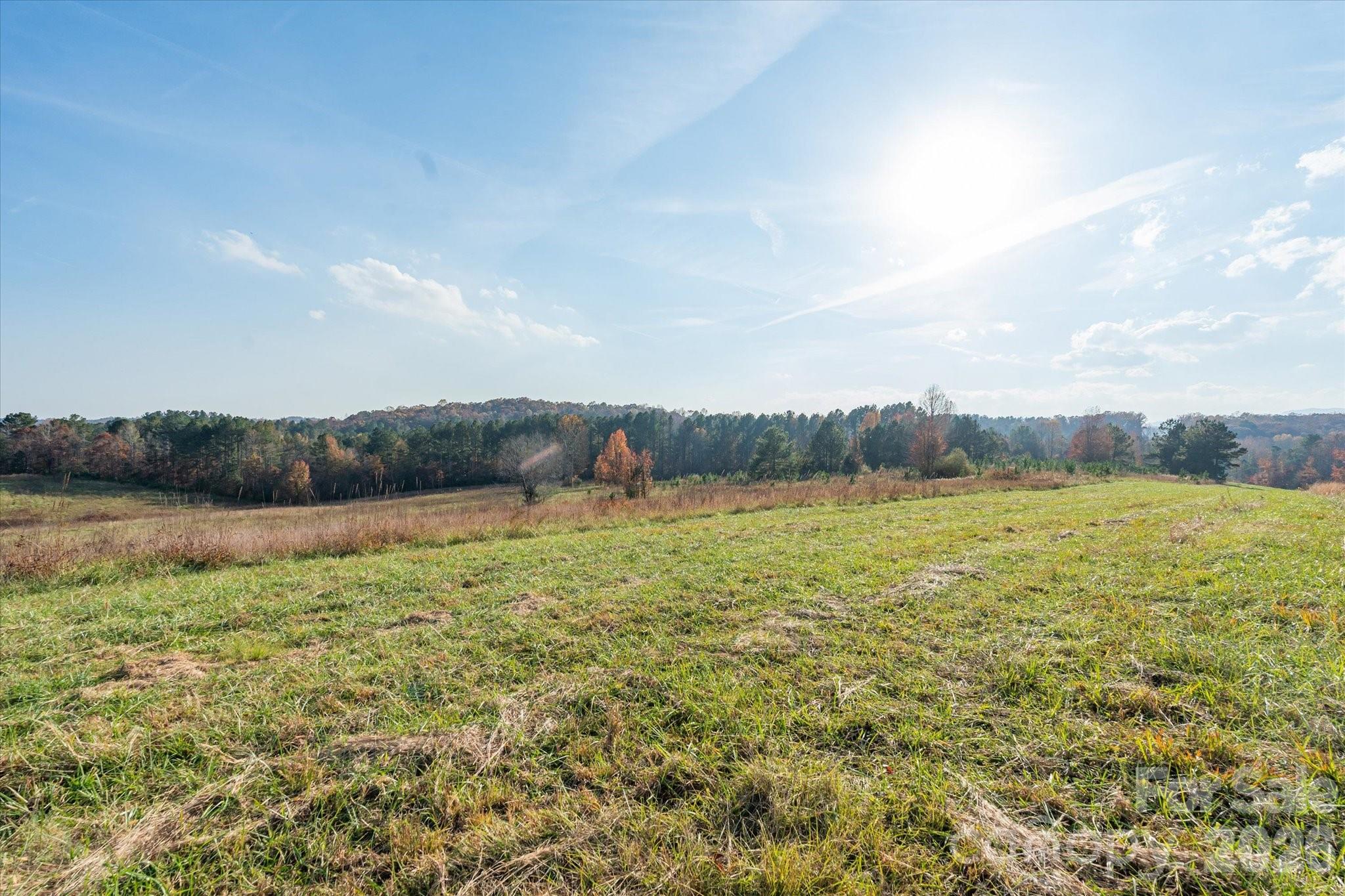 1888 Pea Ridge Road Property Photo 11