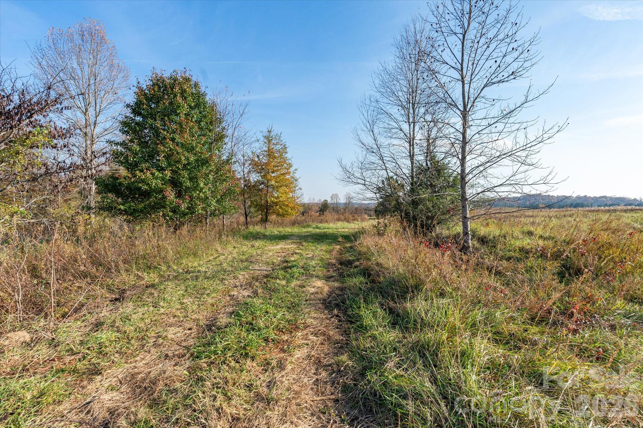 1888 Pea Ridge Road Property Photo 15