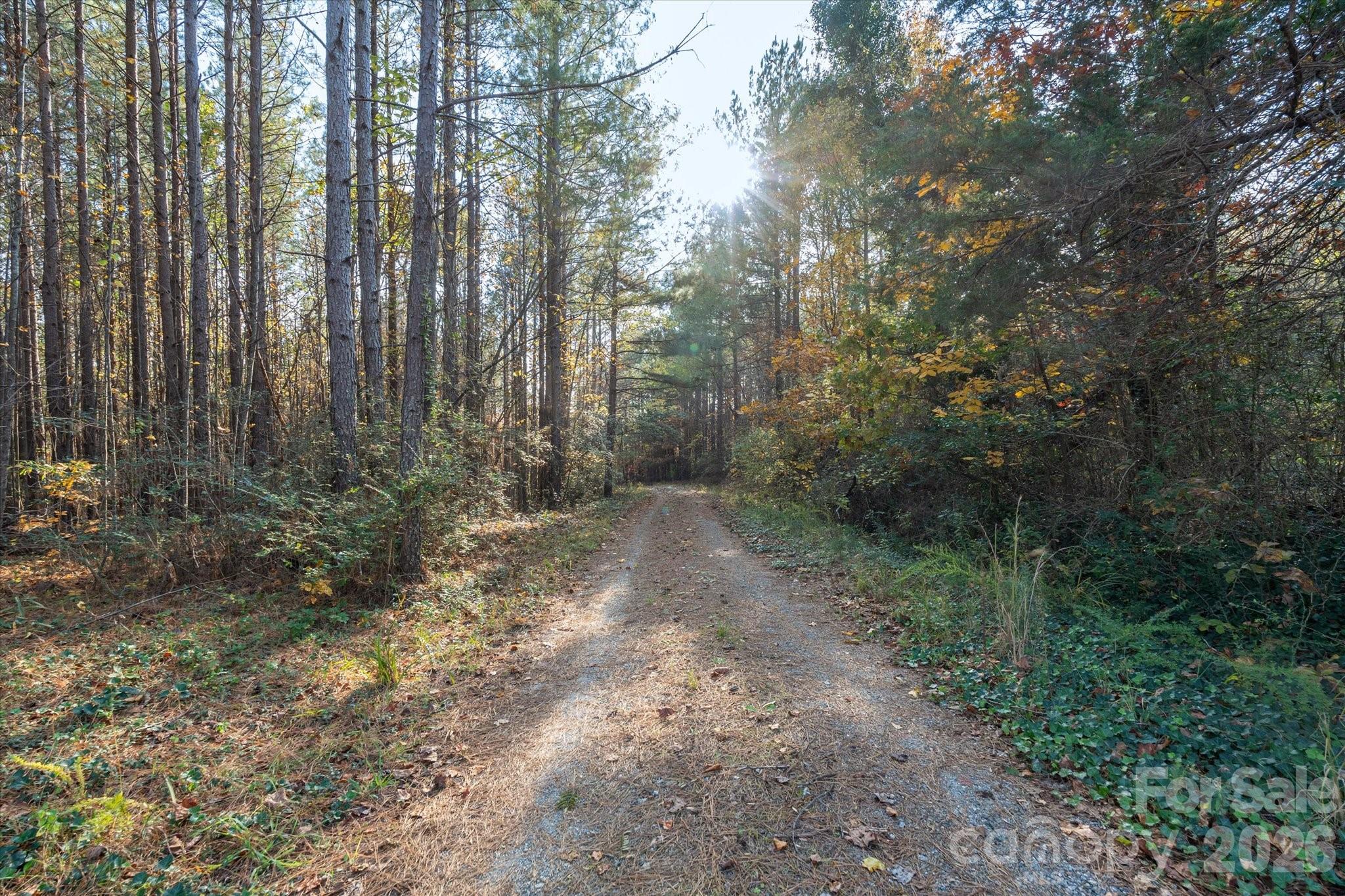 1888 Pea Ridge Road Property Photo 16