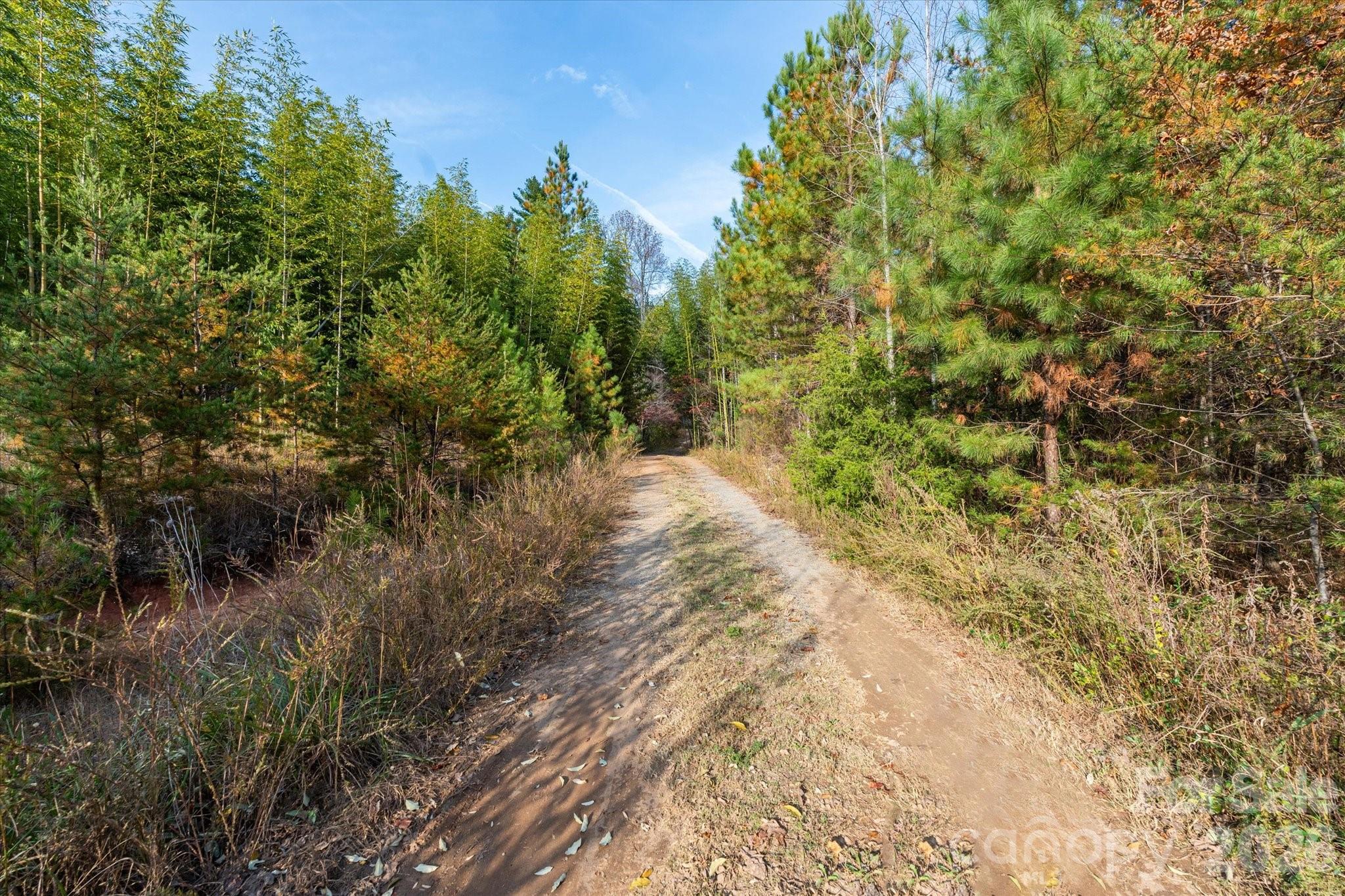 1888 Pea Ridge Road Property Photo 17