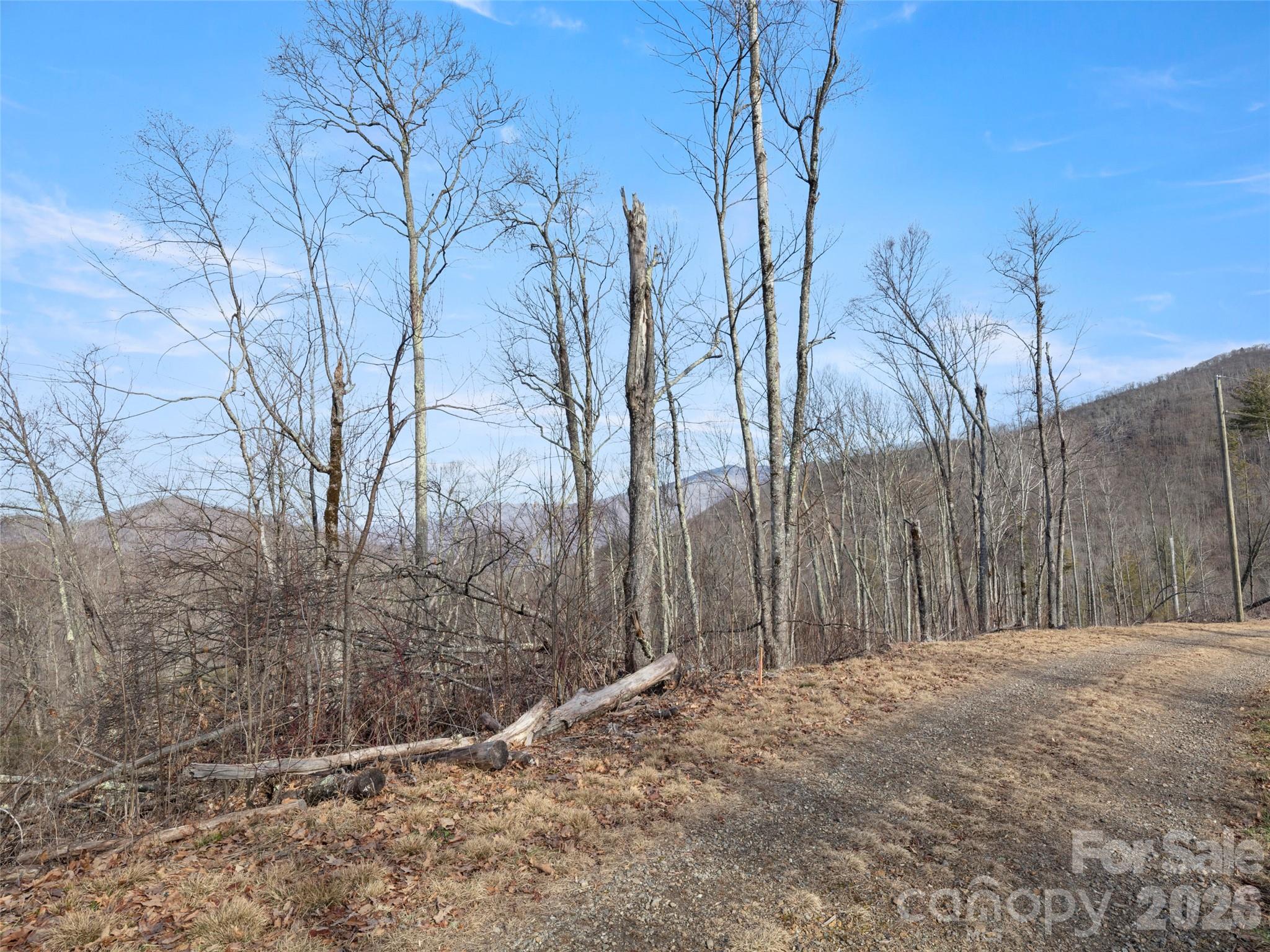 Tbd S Ridge Runner Road Property Photo 1