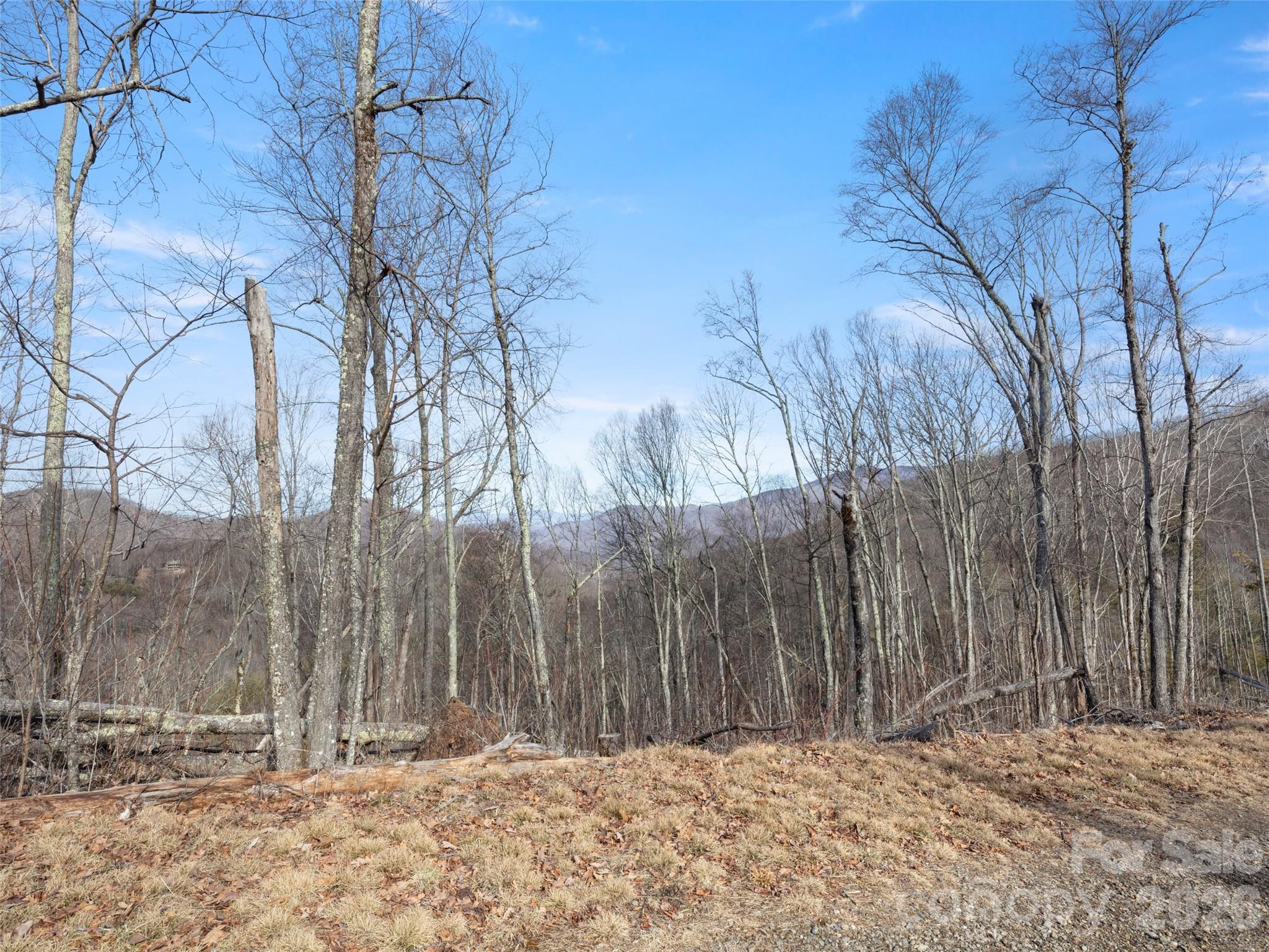 Tbd S Ridge Runner Road Property Photo 2