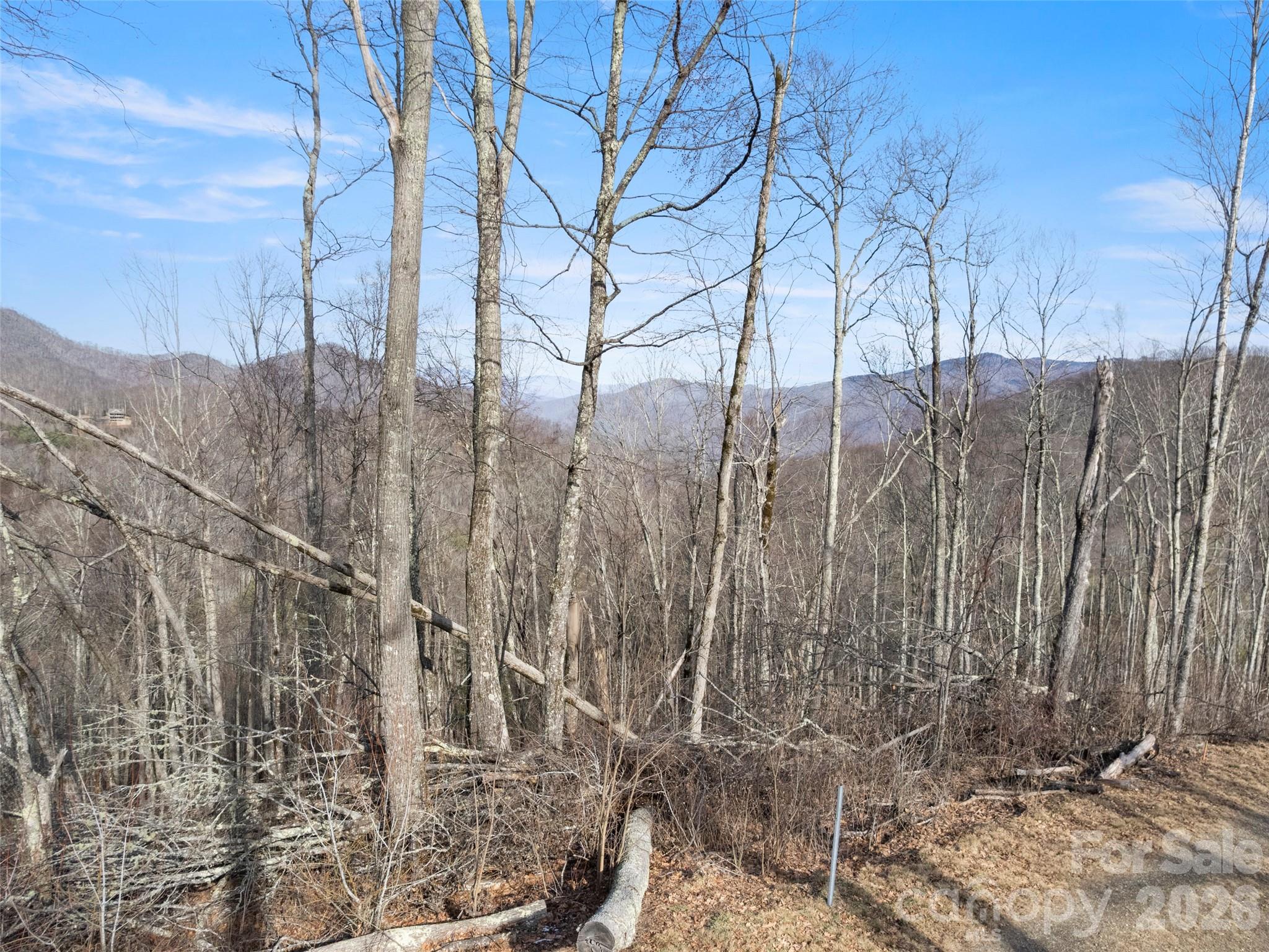 Tbd S Ridge Runner Road Property Photo 3