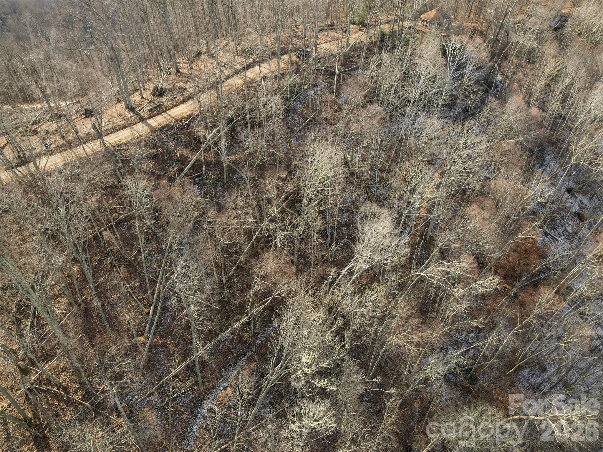 Tbd S Ridge Runner Road Property Photo 4