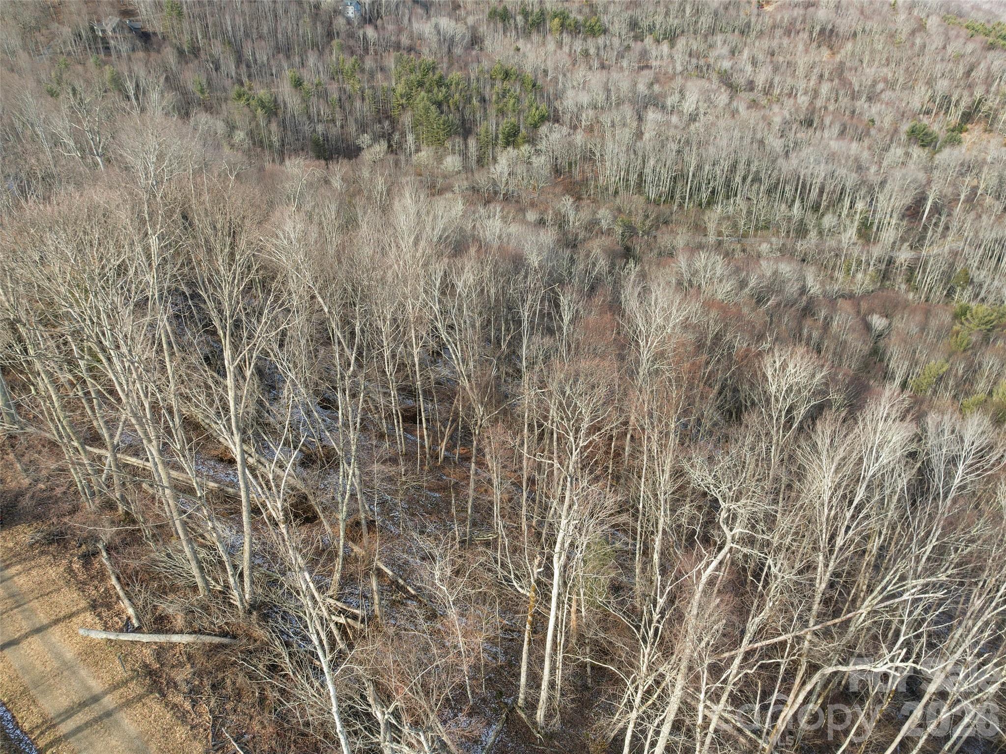 Tbd S Ridge Runner Road Property Photo 7
