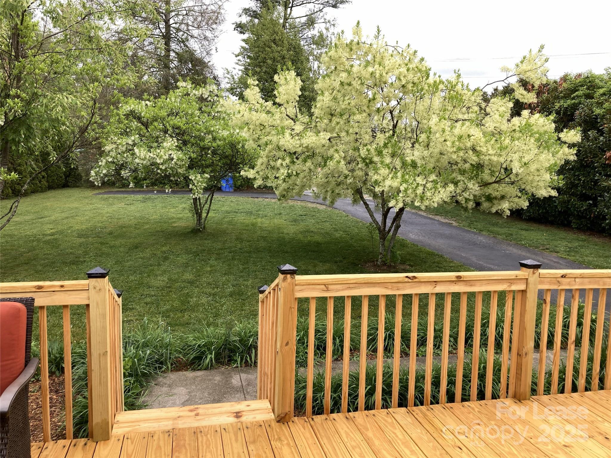 179 Rutledge Road Property Photo 4