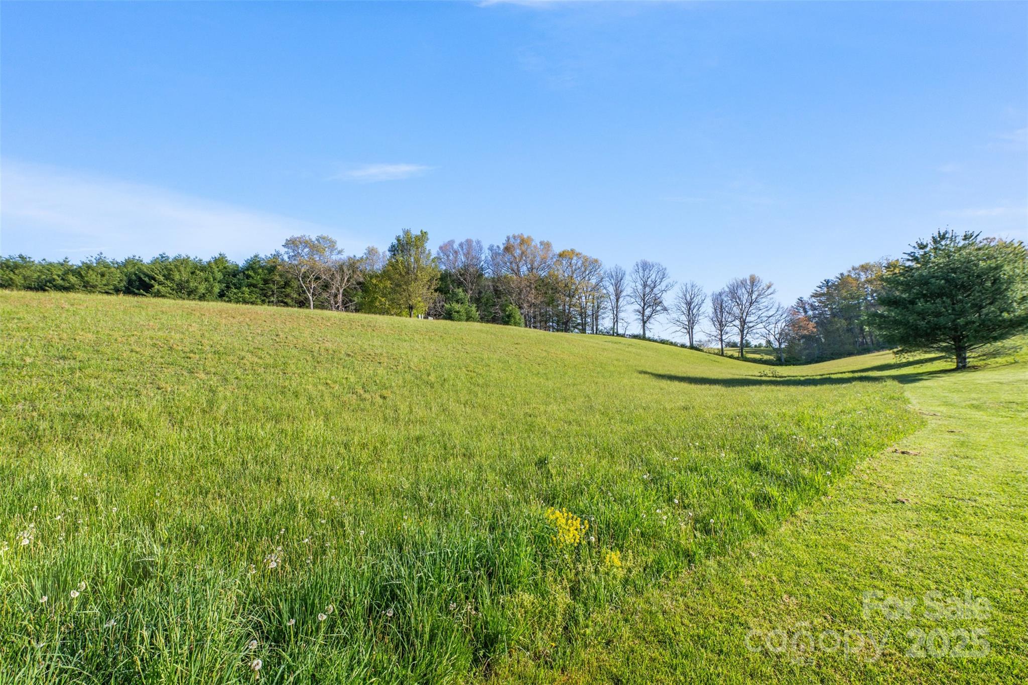 Tbd (lot 29) Pond View Lane 29 Property Photo 18