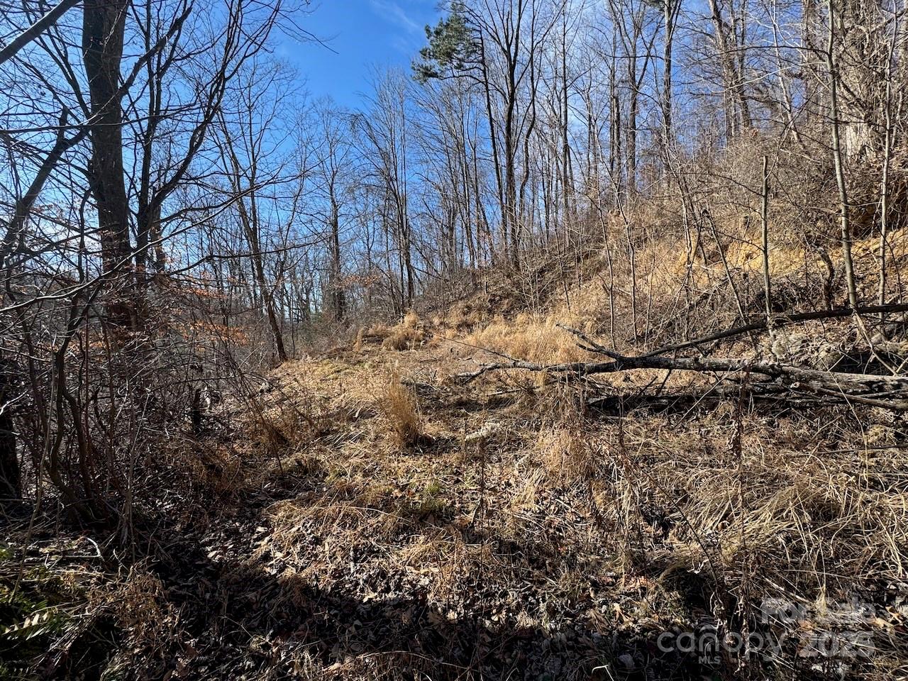 Tbd Glen Valley Way 187,200 Property Photo 6