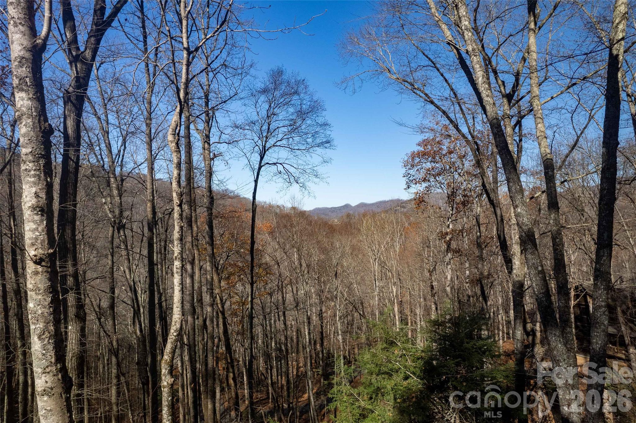 126 Mossycup Court Property Photo 2