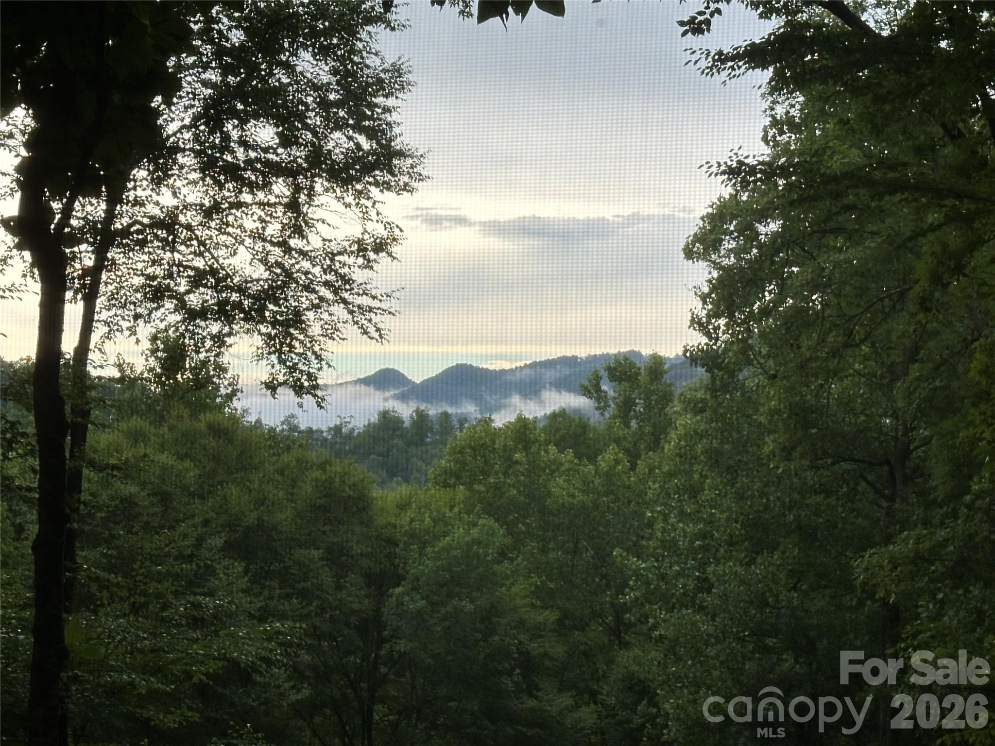 126 Mossycup Court Property Photo 4