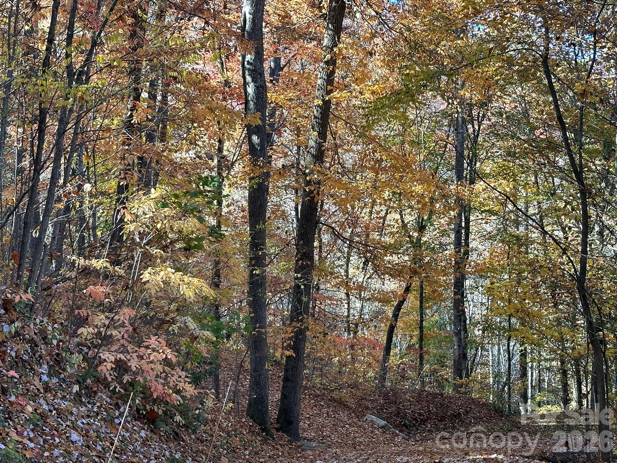 126 Mossycup Court Property Photo 32