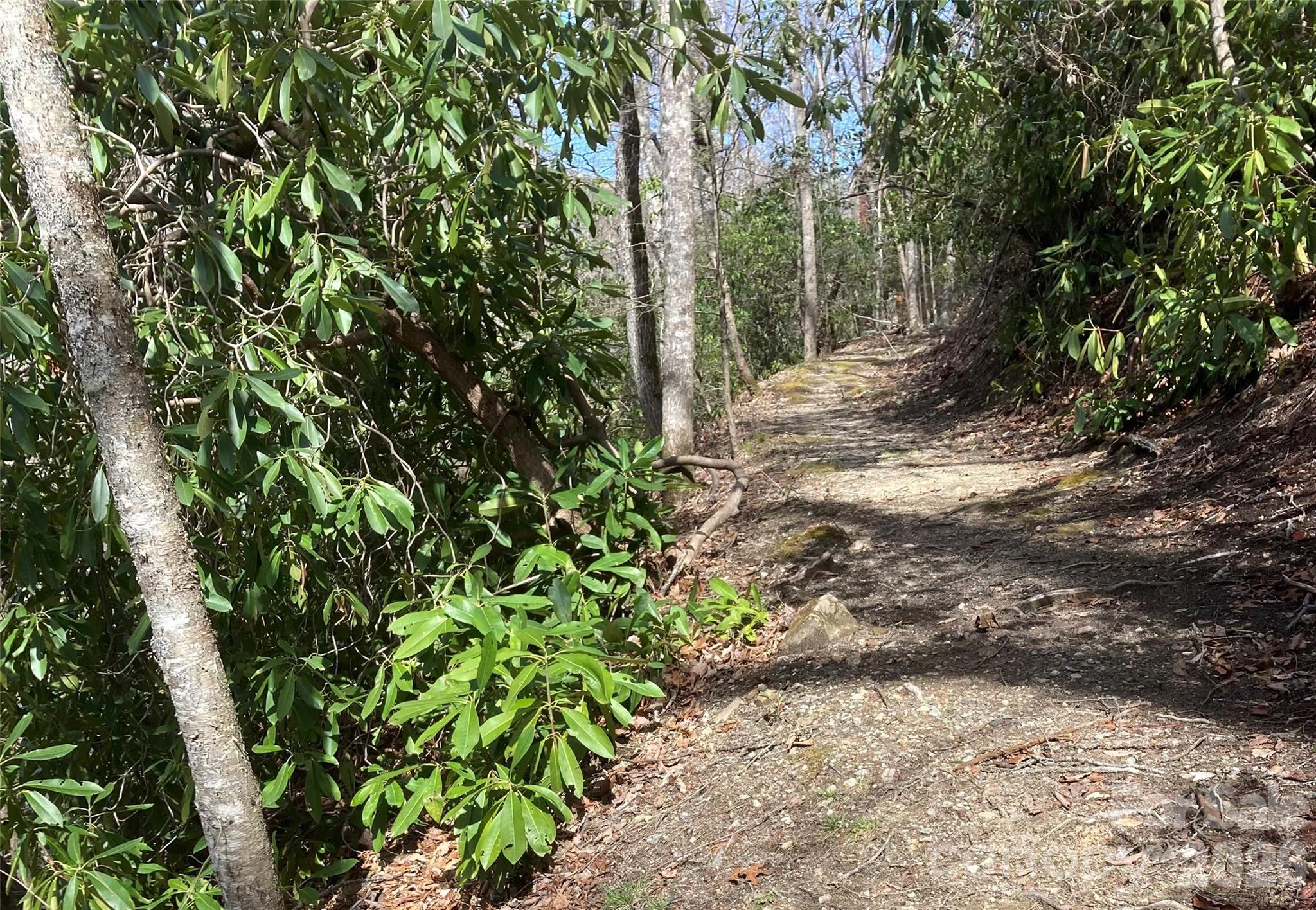 126 Mossycup Court Property Photo 41