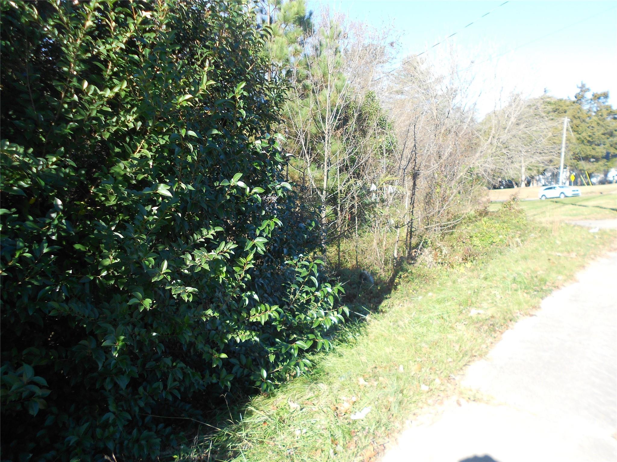 1009 N New Hope Road Property Photo 2