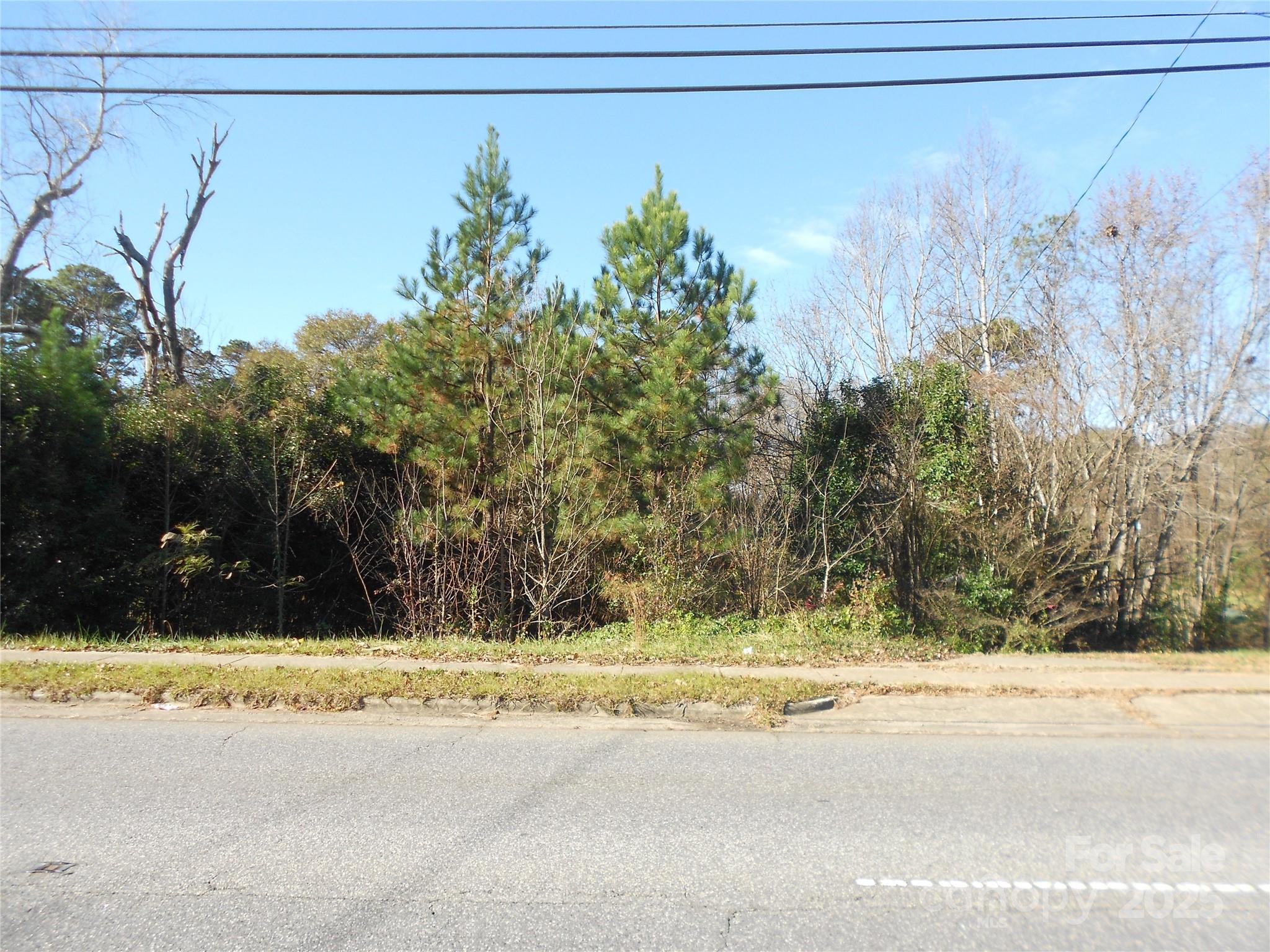 1009 N New Hope Road Property Photo 3