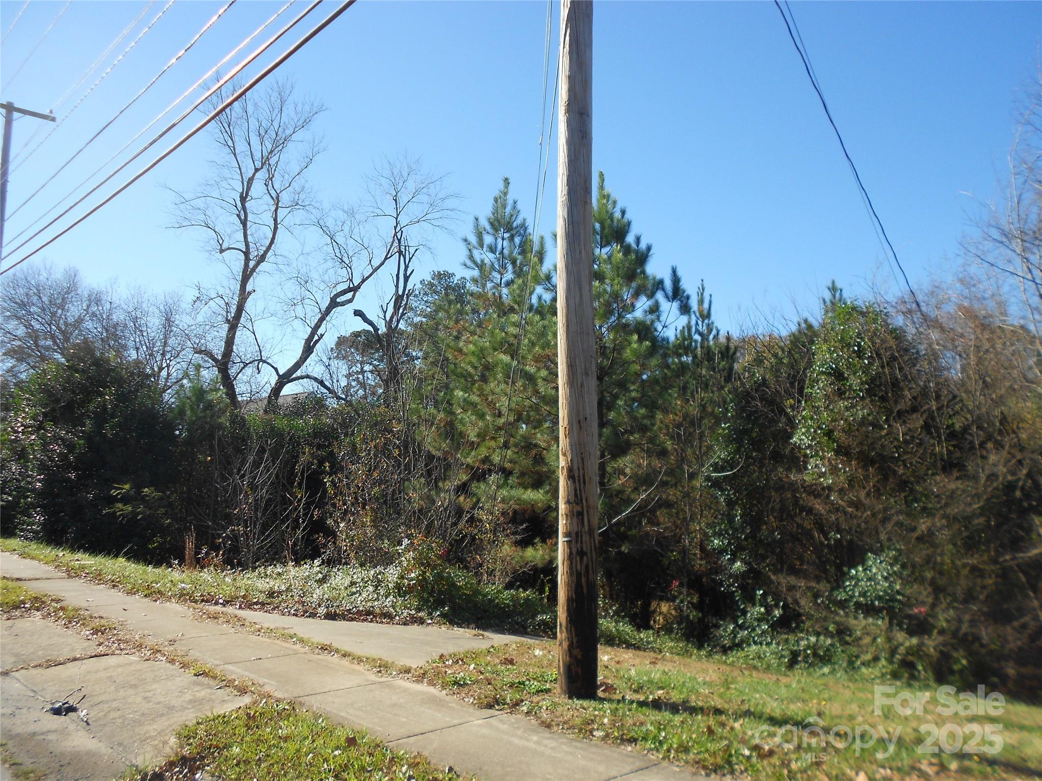 1009 N New Hope Road Property Photo 4