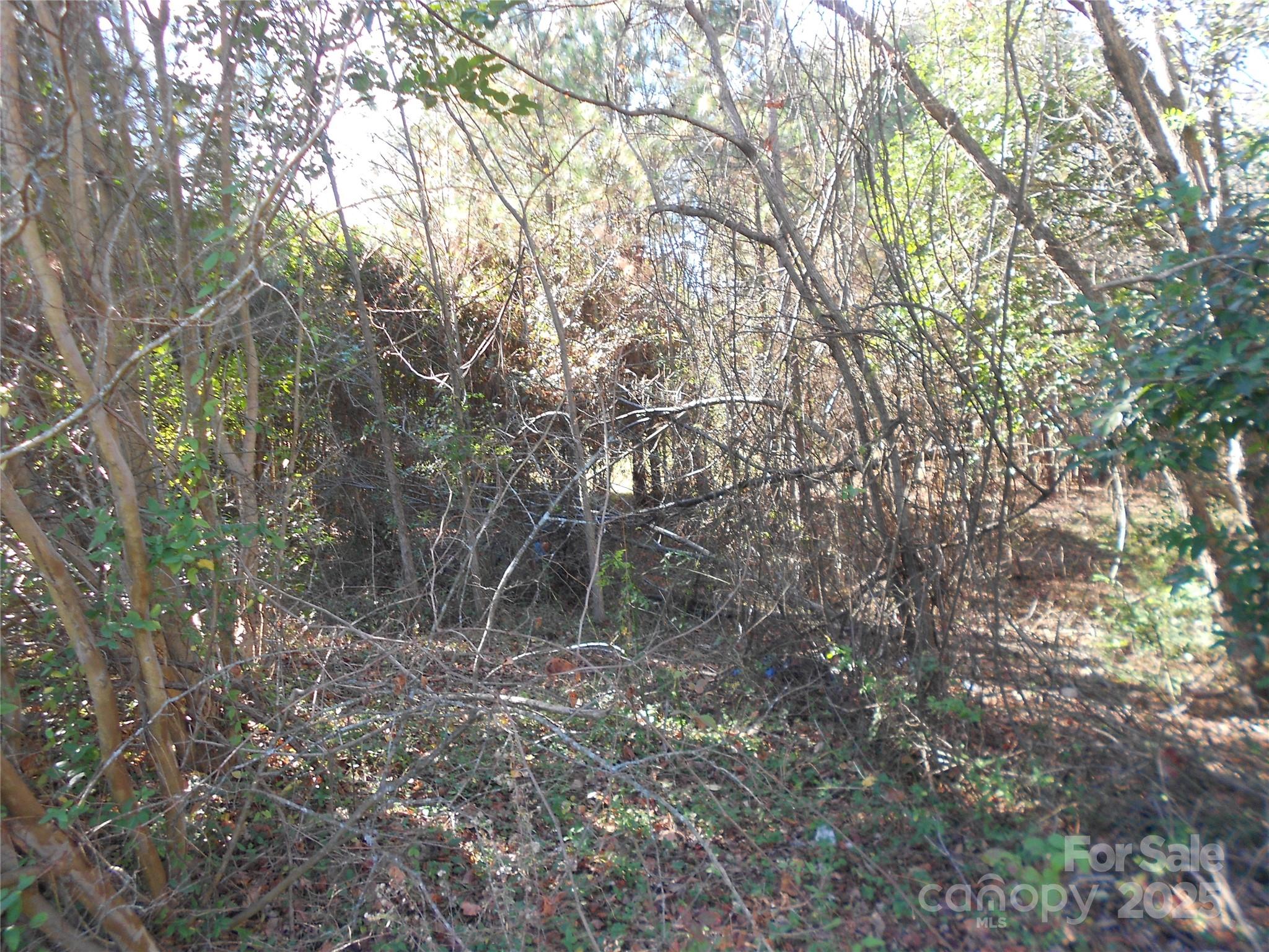 1009 N New Hope Road Property Photo 6