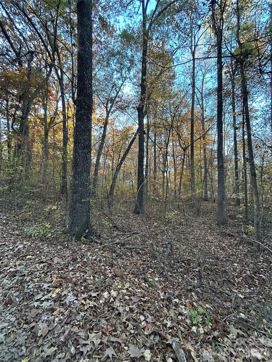 260 Joy Circle Property Photo 16
