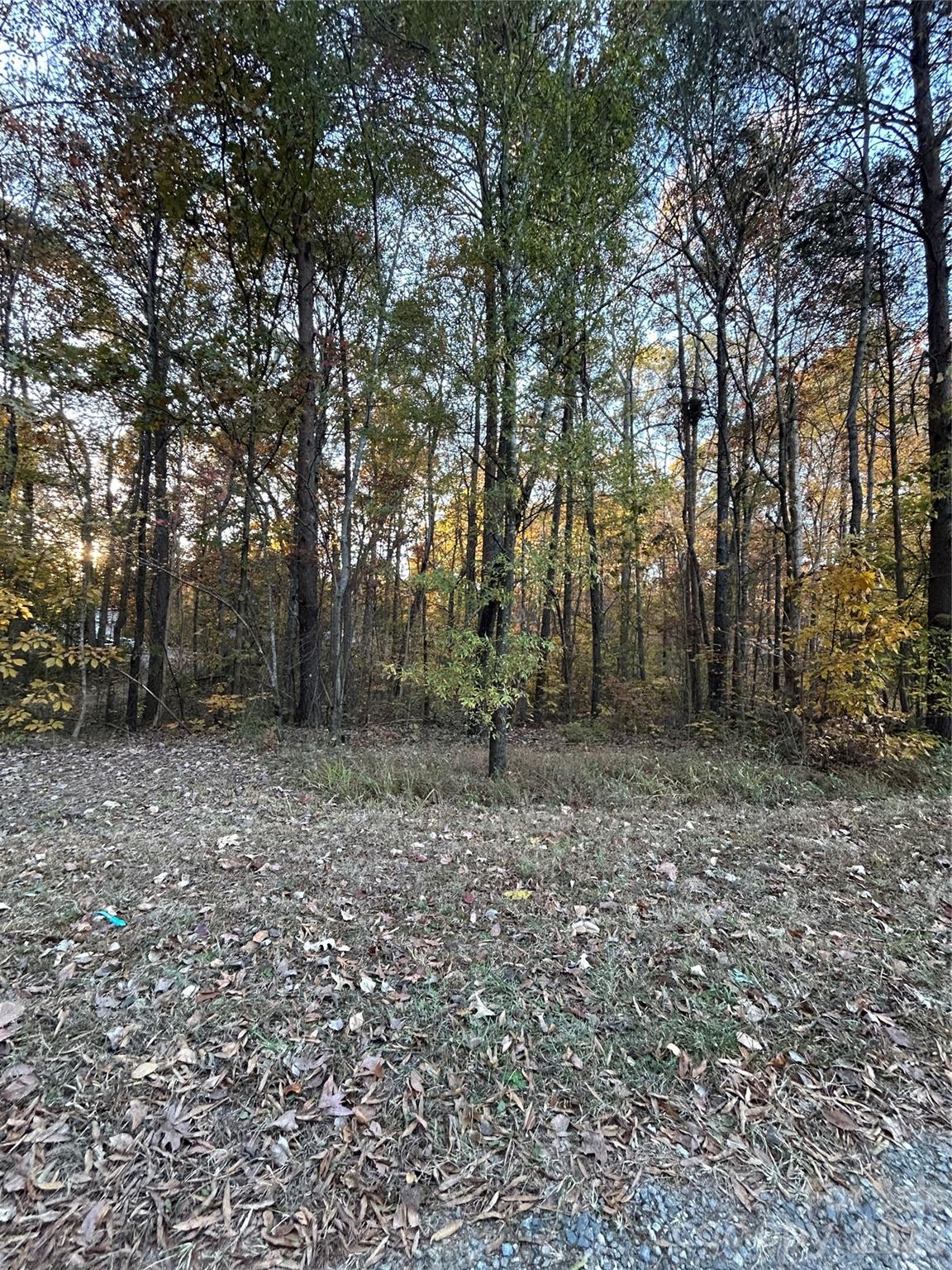 260 Joy Circle Property Photo 17