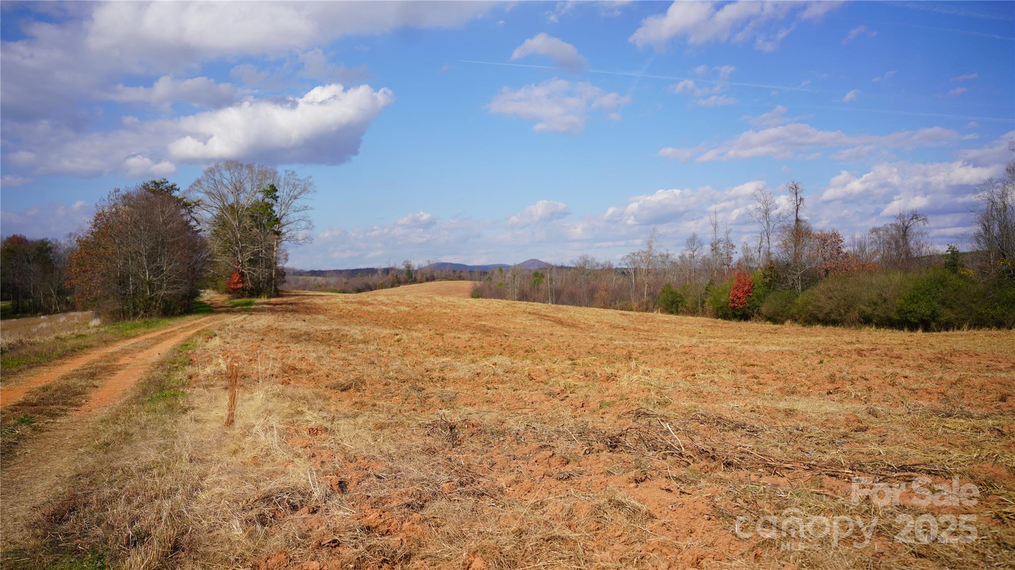 000 Old Shelby Road Property Photo 1