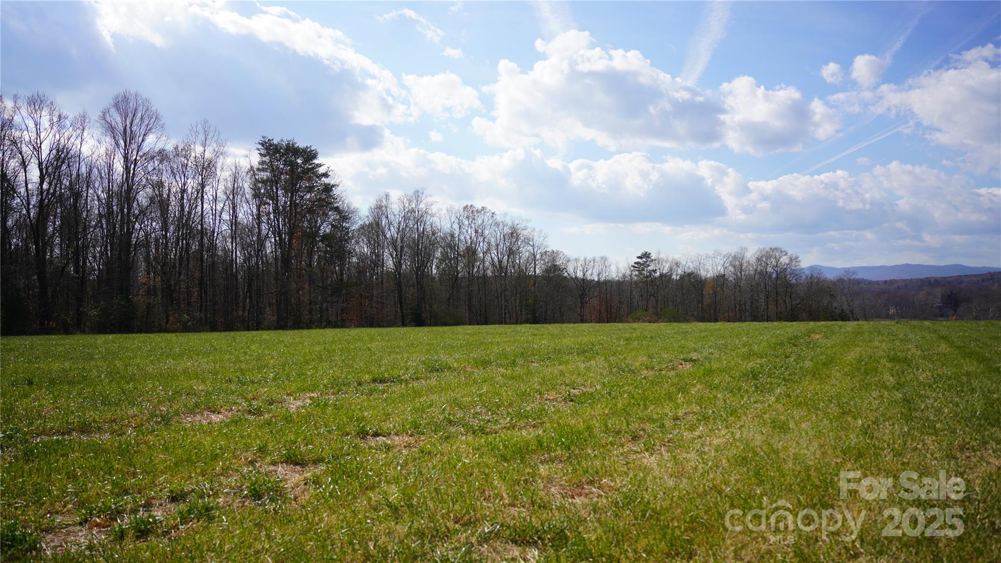 000 Old Shelby Road Property Photo 3