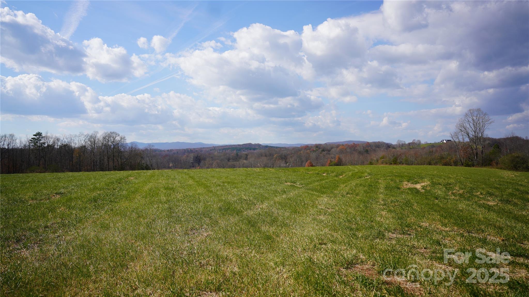 000 Old Shelby Road Property Photo 4