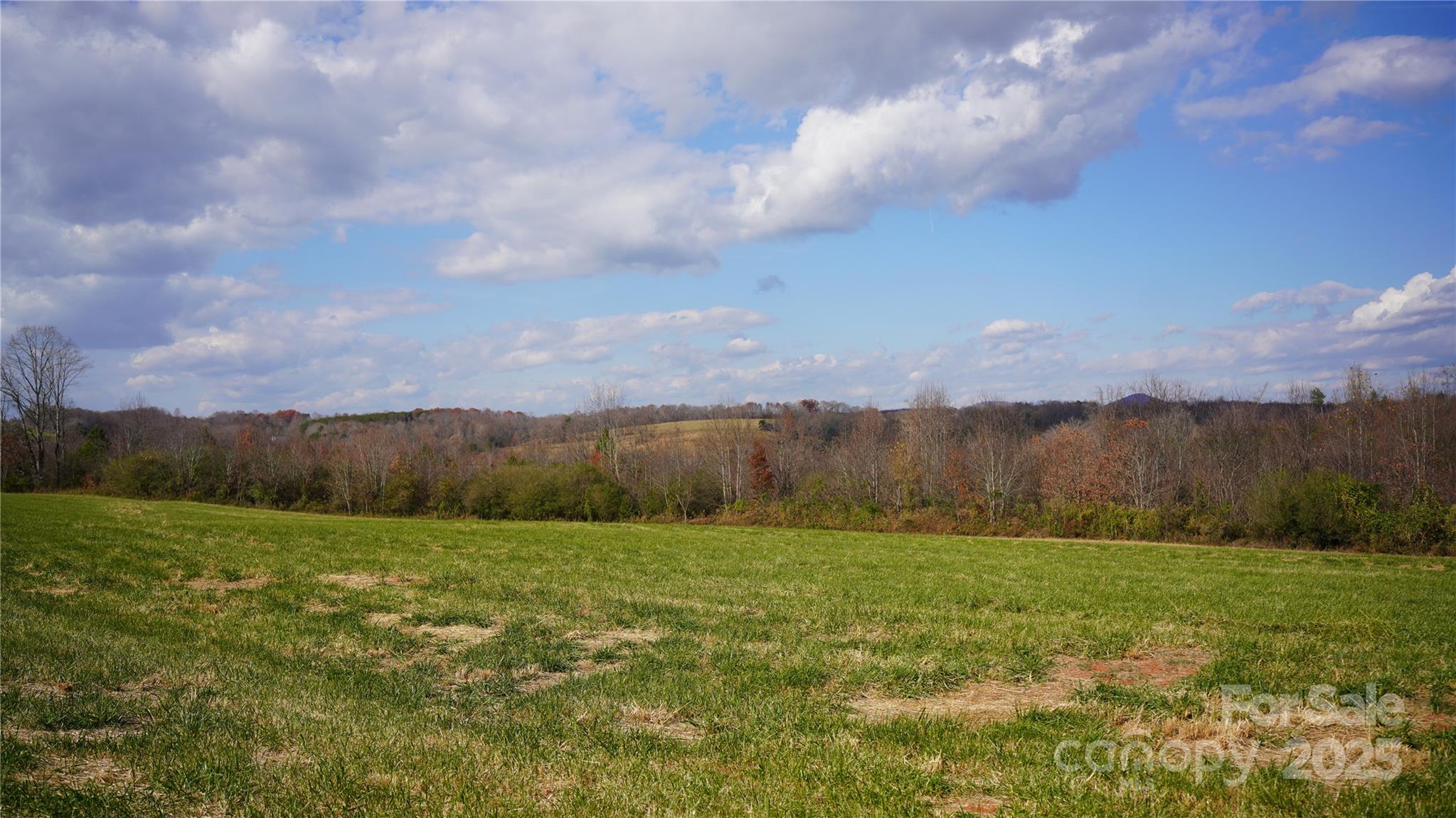 000 Old Shelby Road Property Photo 5