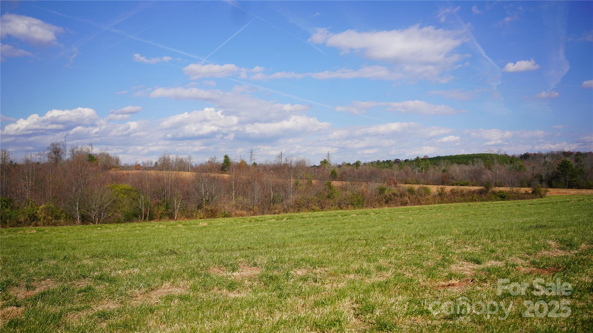 000 Old Shelby Road Property Photo 6