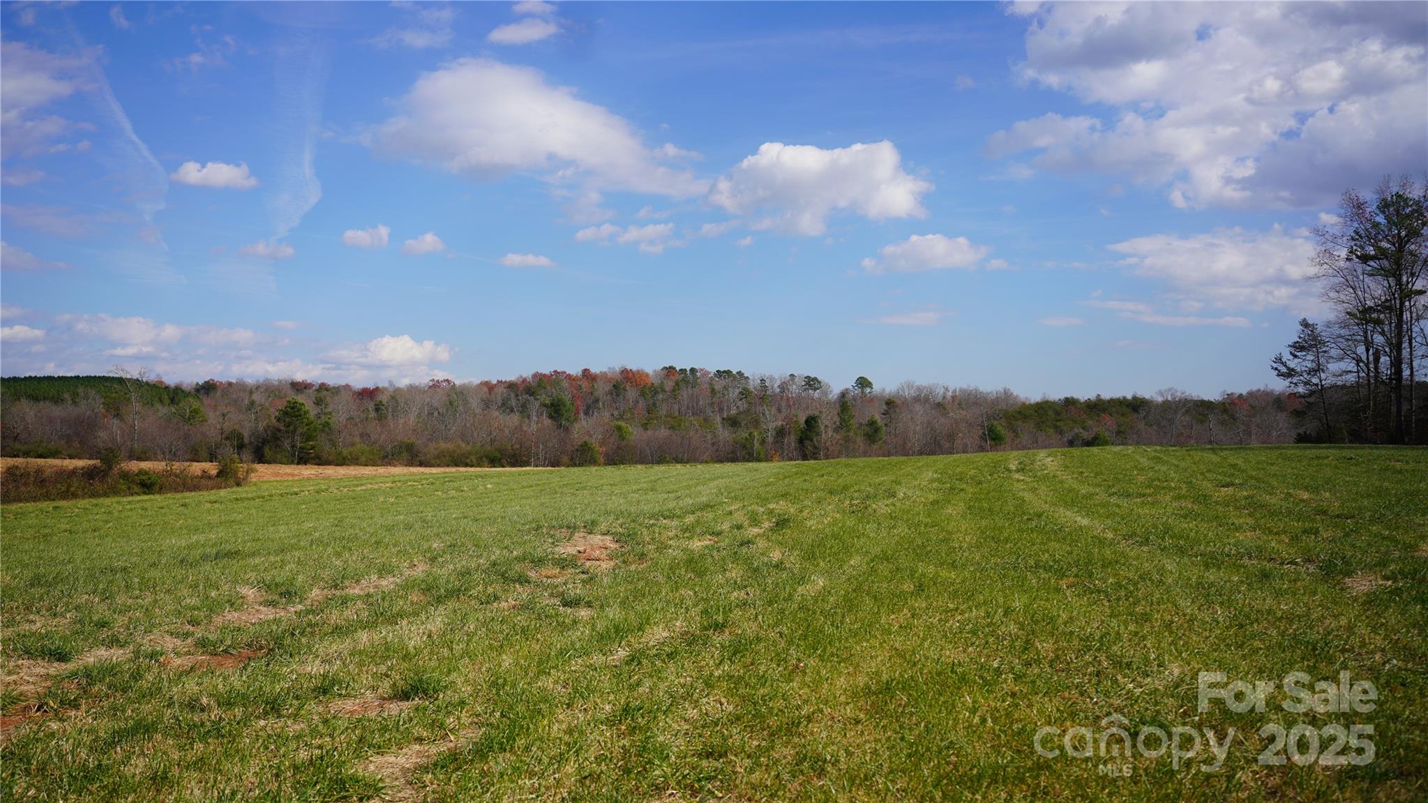 000 Old Shelby Road Property Photo 7