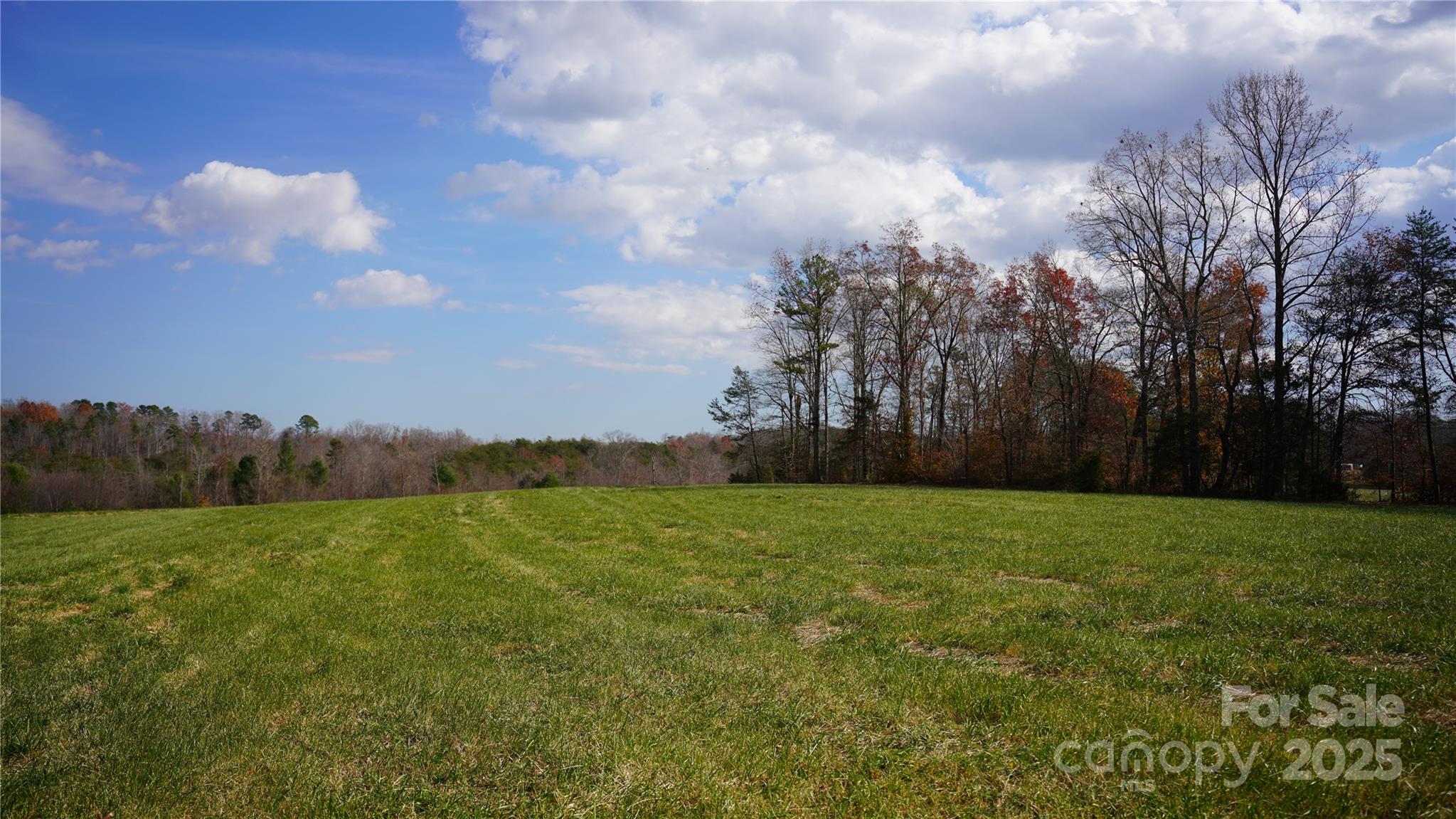 000 Old Shelby Road Property Photo 8