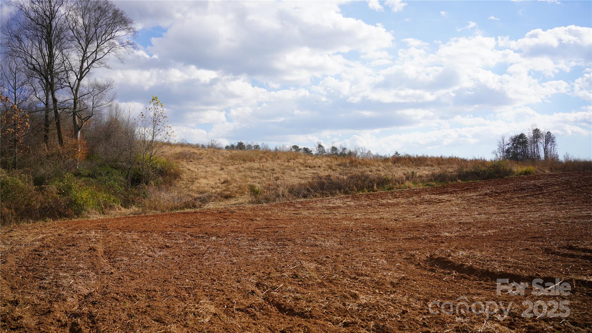 000 Old Shelby Road Property Photo 10