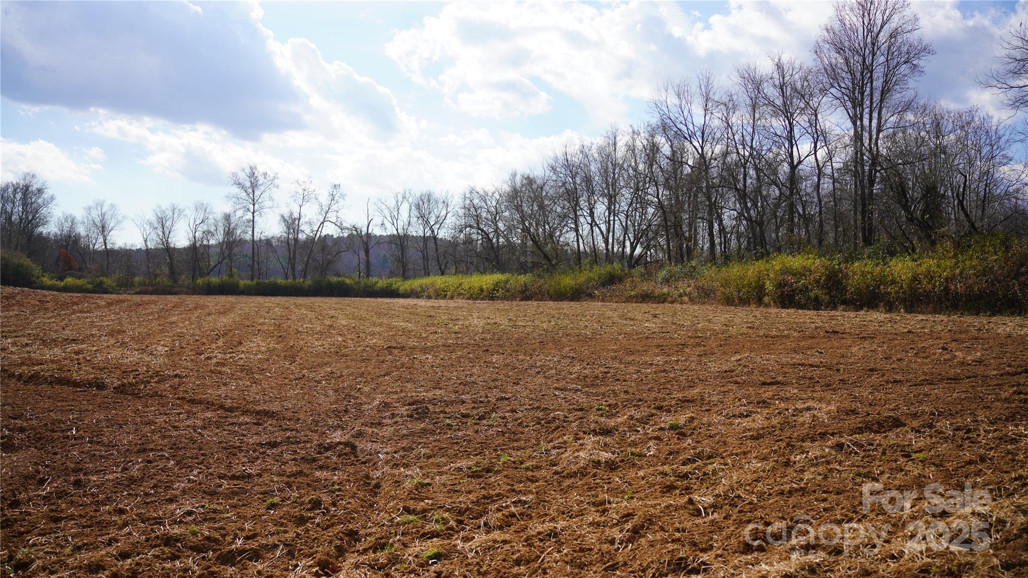000 Old Shelby Road Property Photo 11