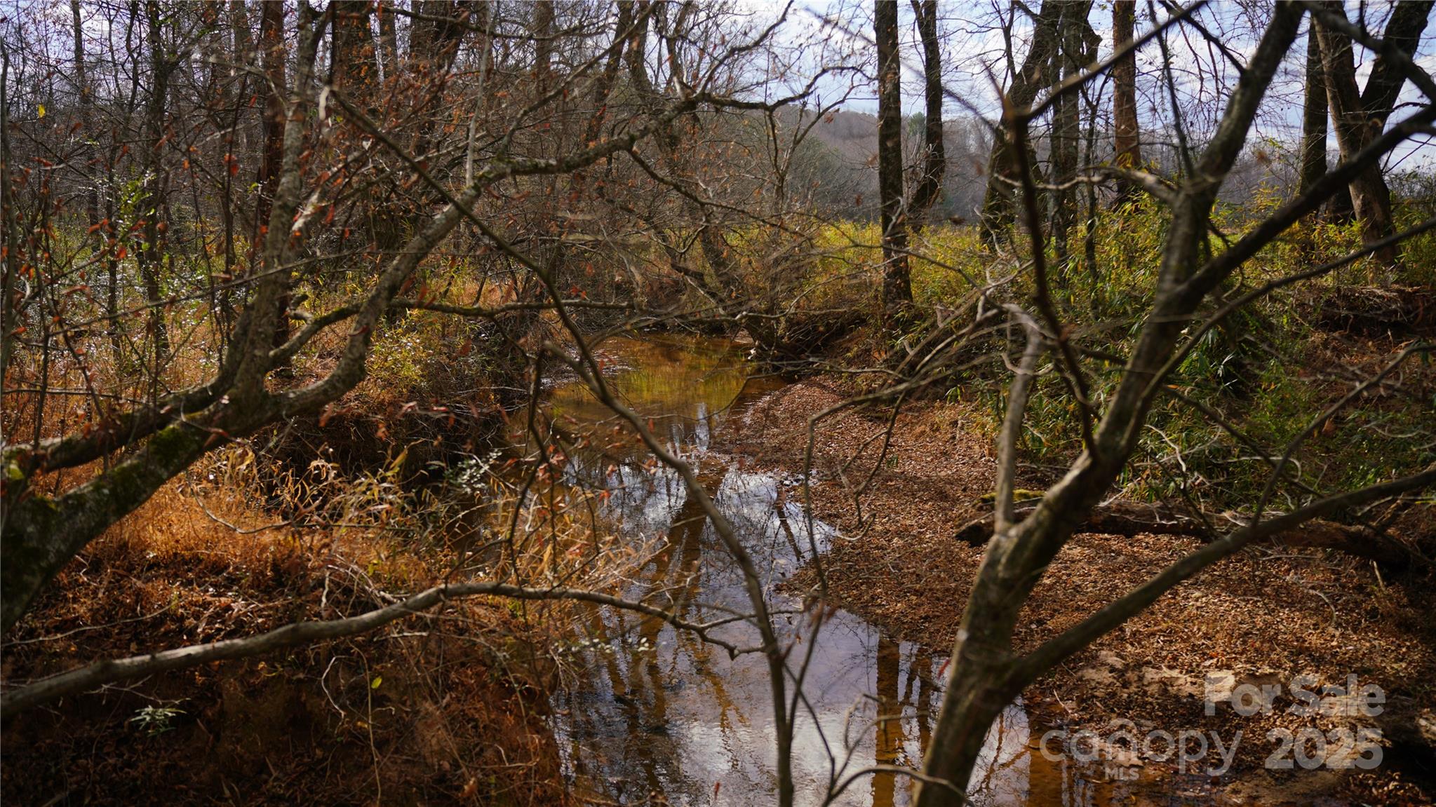 000 Old Shelby Road Property Photo 12