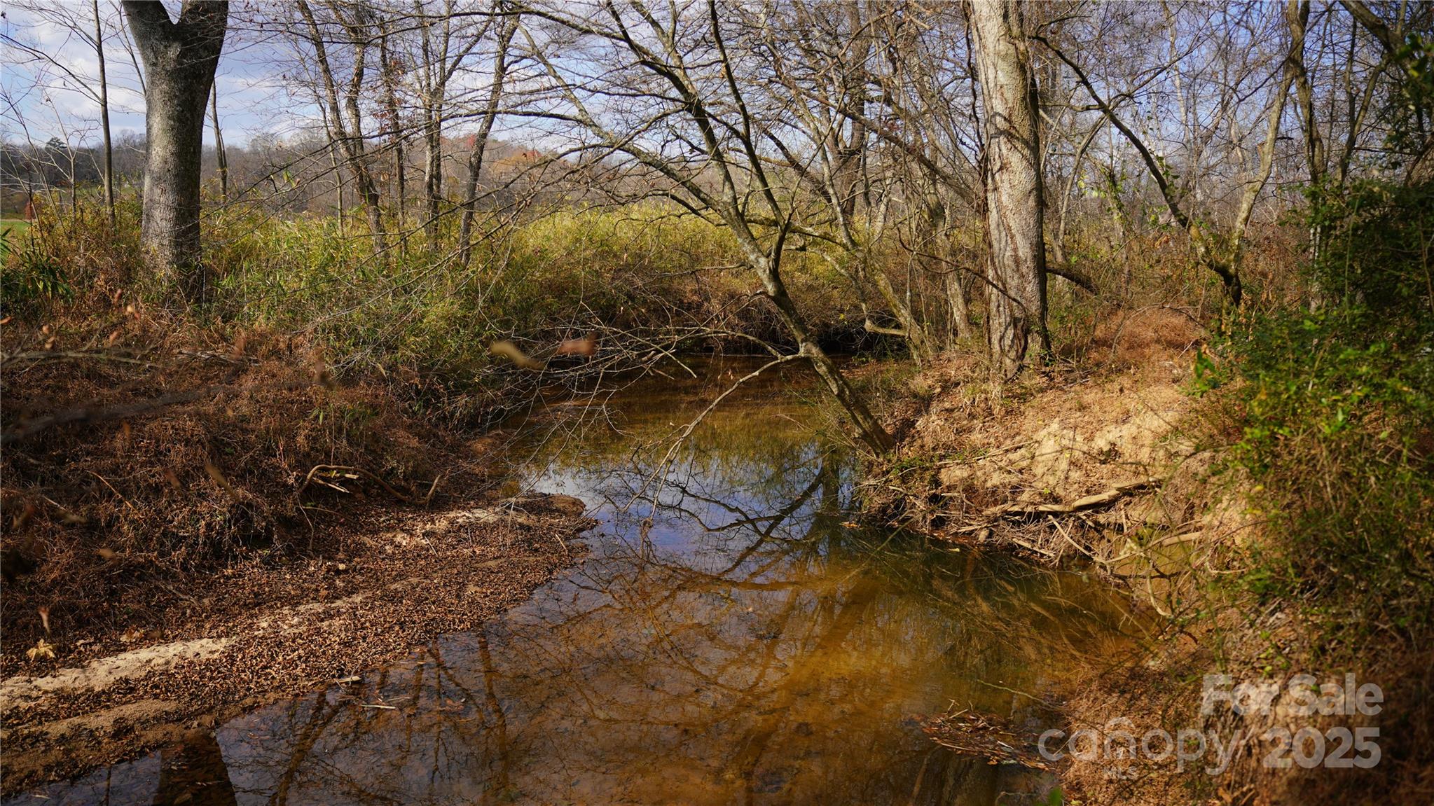 000 Old Shelby Road Property Photo 13